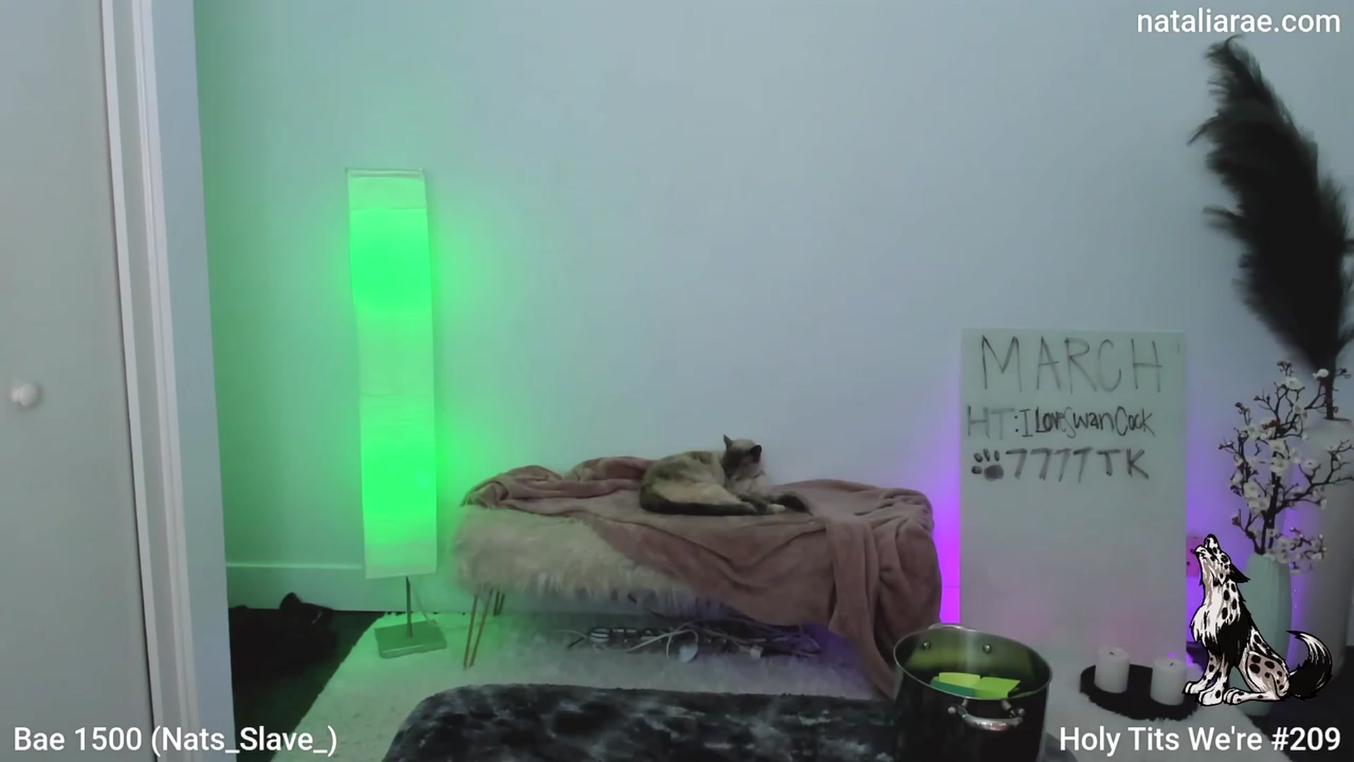 Gallery image thumbnail from Natalia_Rae's myfreecams stream on, 03/18/2023, 10:37 image 3 of 20