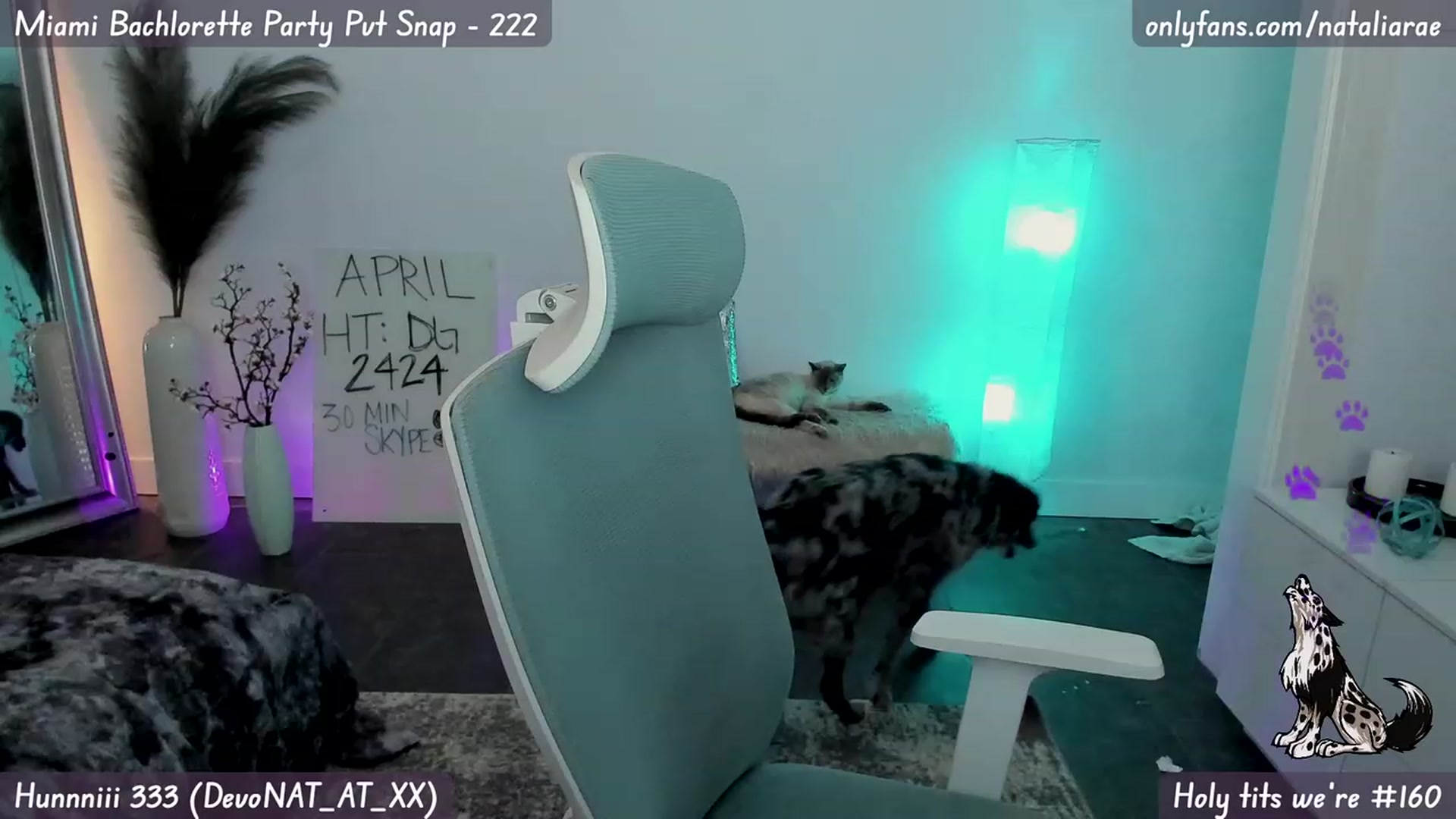Gallery image thumbnail from Natalia_Rae's myfreecams stream on, 05/01/2023, 08:13 image 7 of 20
