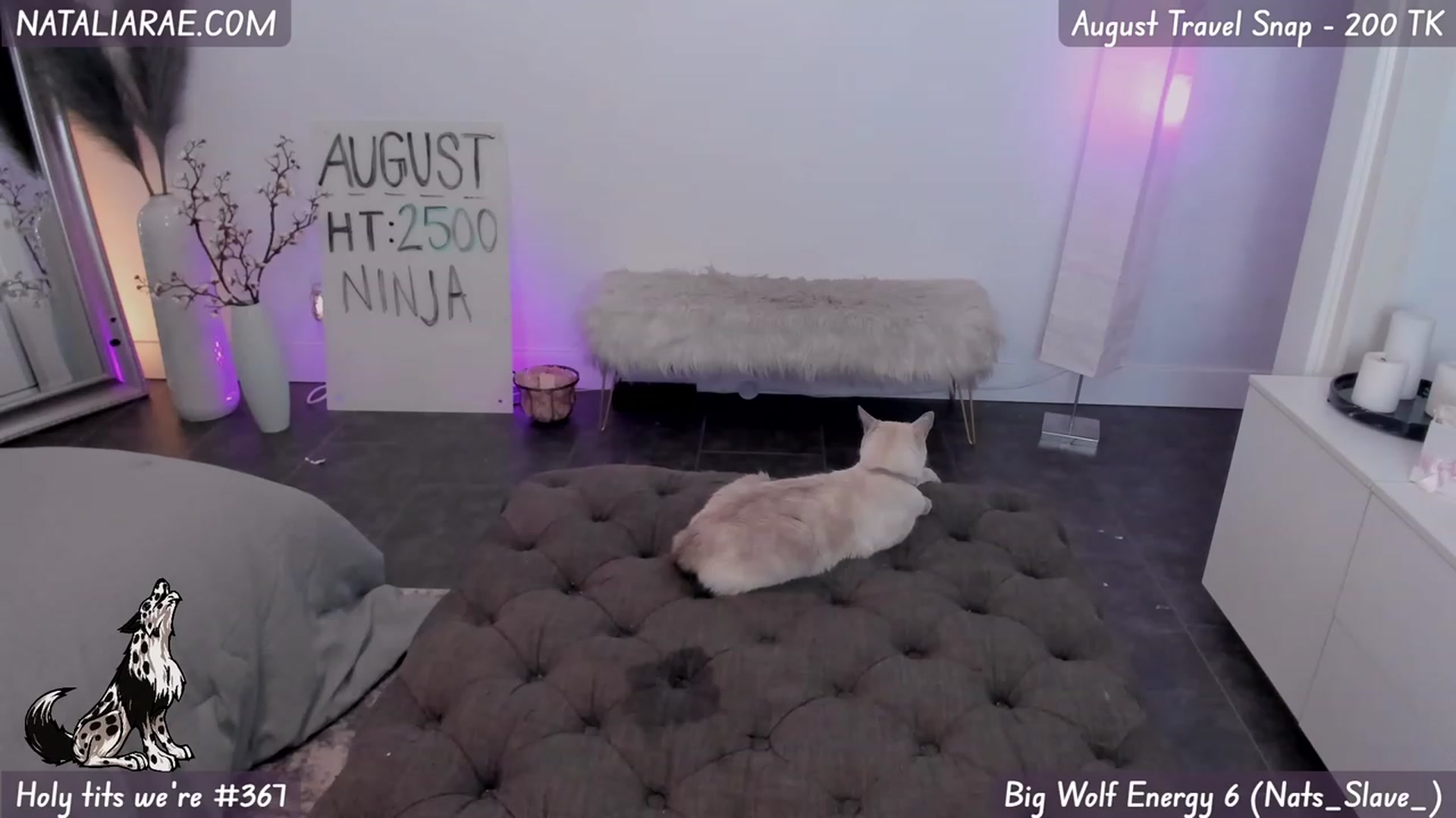 Gallery image thumbnail from Natalia_Rae's myfreecams stream on, 08/13/2023, 06:15 image 1 of 20