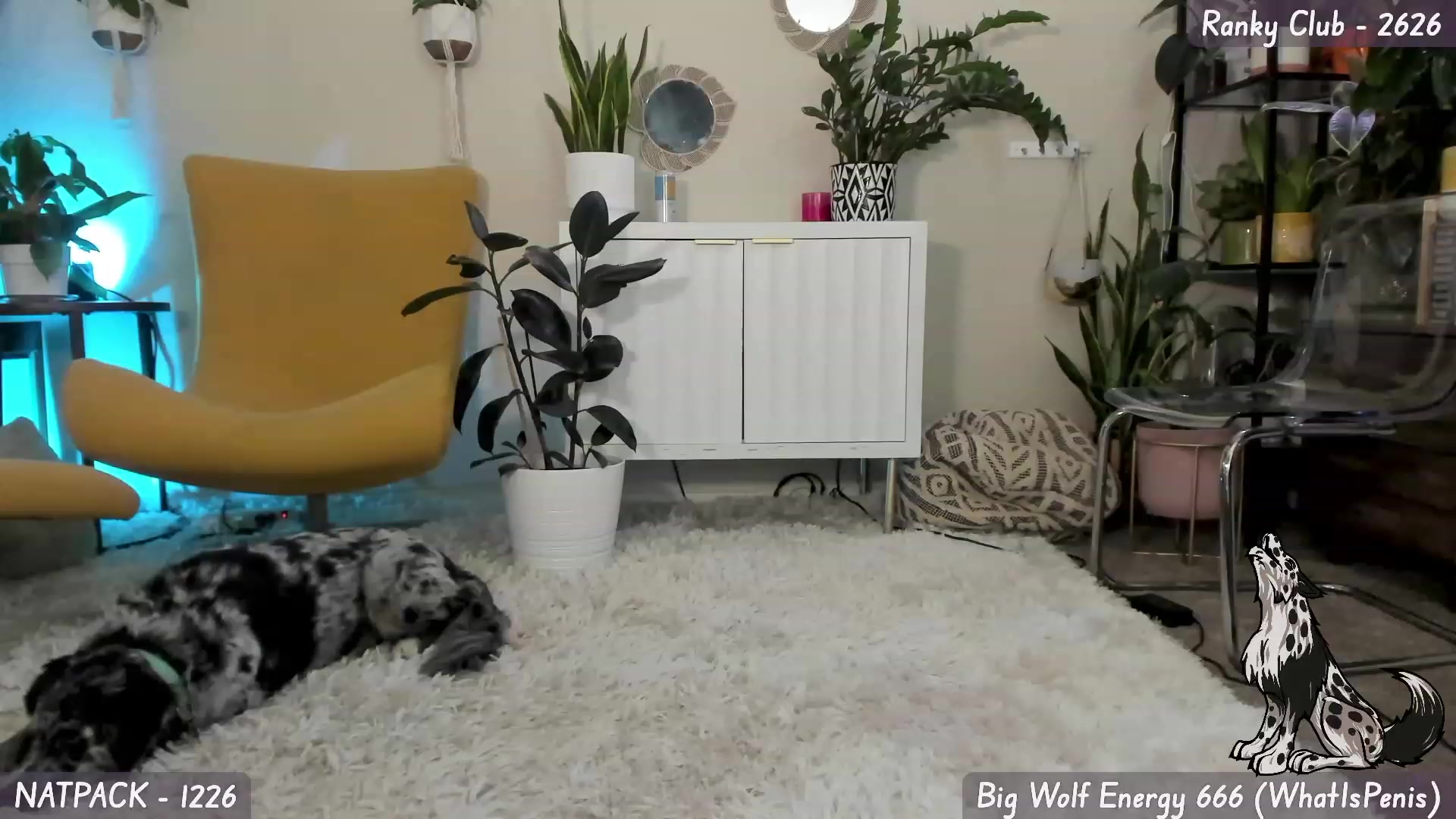 Gallery image thumbnail from Natalia_Rae's myfreecams stream on, 09/12/2023, 08:31 image 18 of 20