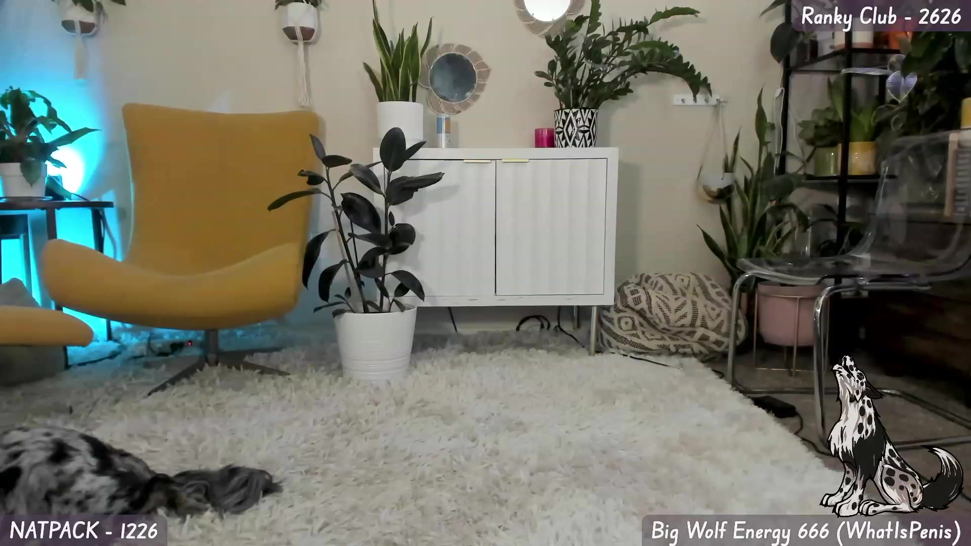 Gallery image thumbnail from Natalia_Rae's myfreecams stream on, 09/12/2023, 08:31 image 19 of 20