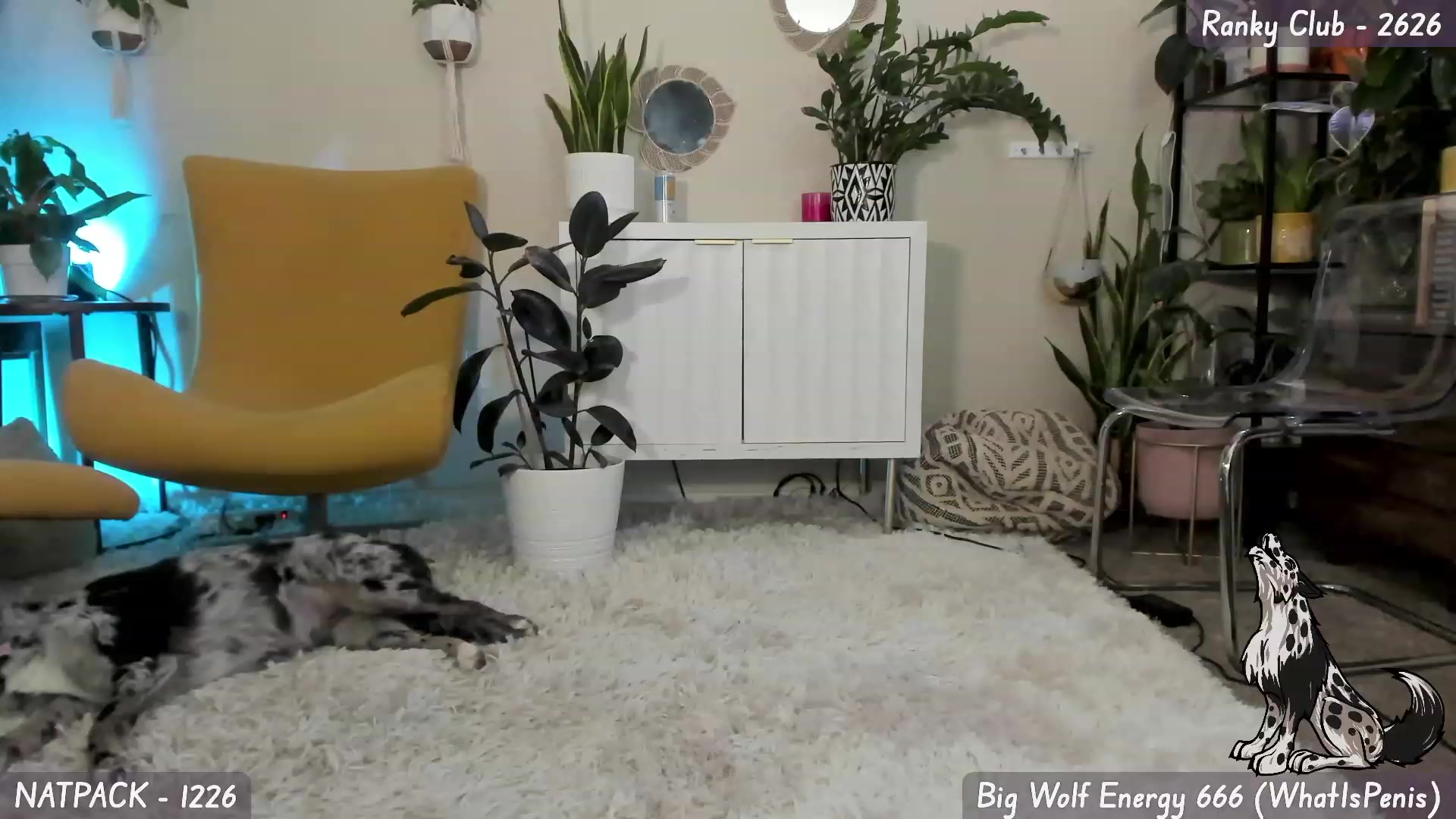 Gallery image thumbnail from Natalia_Rae's myfreecams stream on, 09/12/2023, 08:31 image 17 of 20