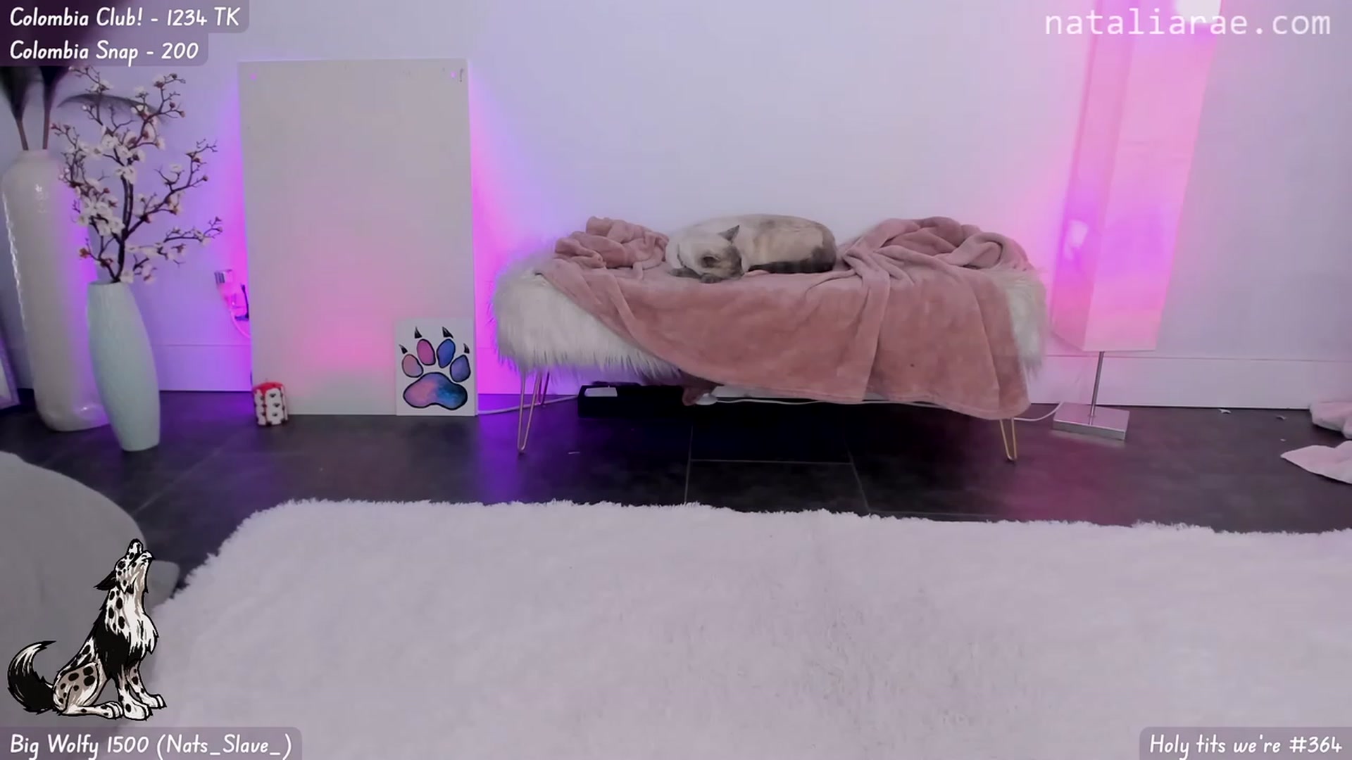 Gallery image thumbnail from Natalia_Rae's myfreecams stream on, 11/04/2023, 11:55 image 7 of 20
