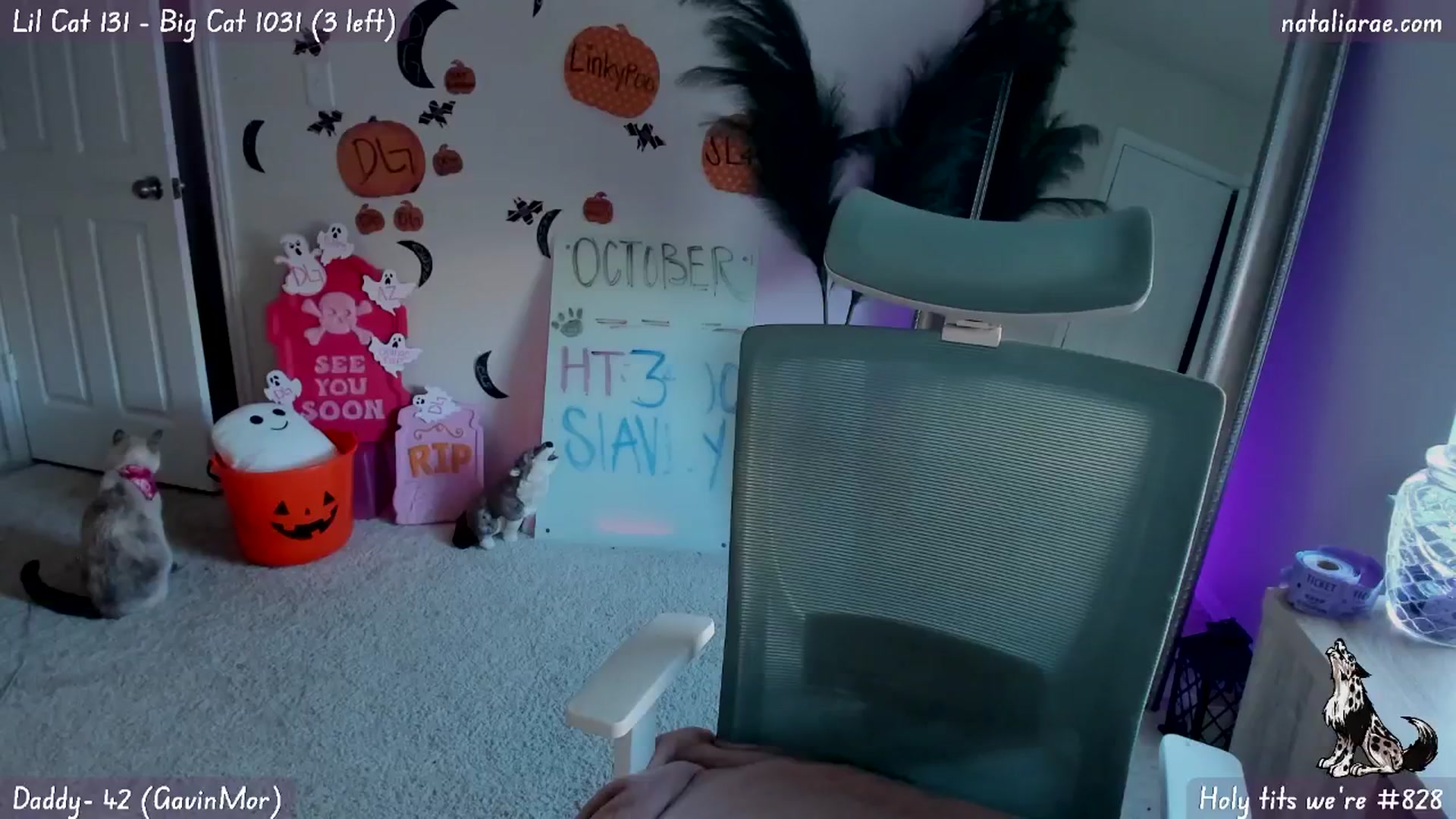Gallery image thumbnail from Natalia_Rae's myfreecams stream on, 10/16/2024, 02:34 image 3 of 20