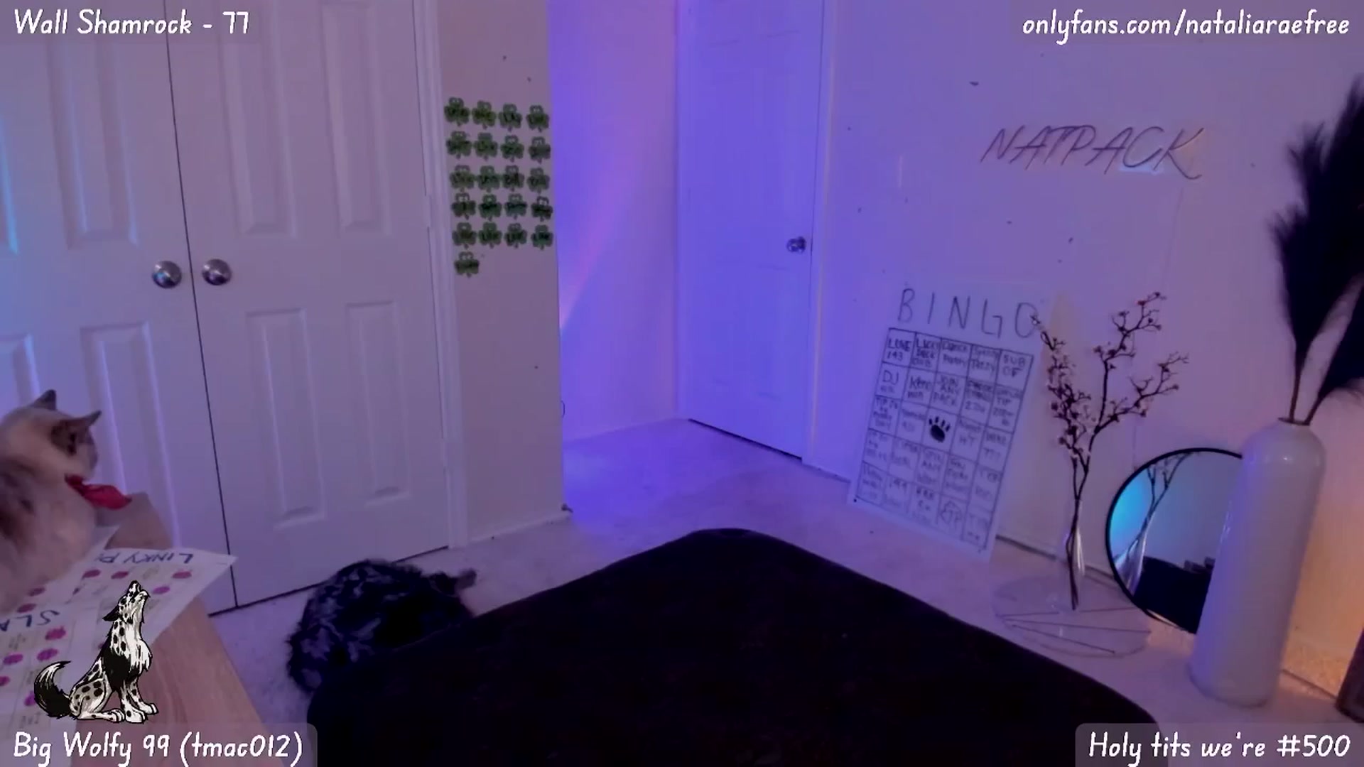 Gallery image thumbnail from Natalia_Rae's myfreecams stream on, 03/15/2025, 07:14 image 17 of 20