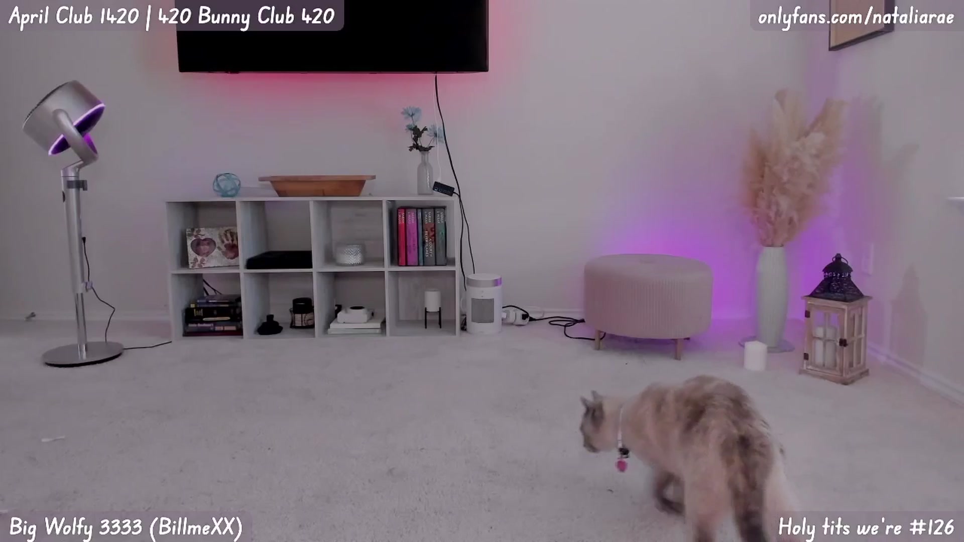 Gallery image thumbnail from Natalia_Rae's myfreecams stream on, 04/23/2025, 24:18 image 17 of 20