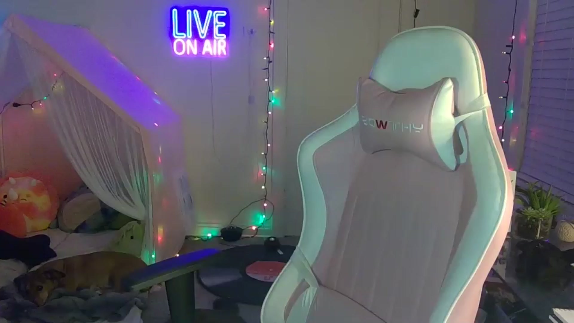 Gallery image thumbnail from NatalieNavedo's myfreecams stream on, 05/10/2024, 12:03 image 11 of 20