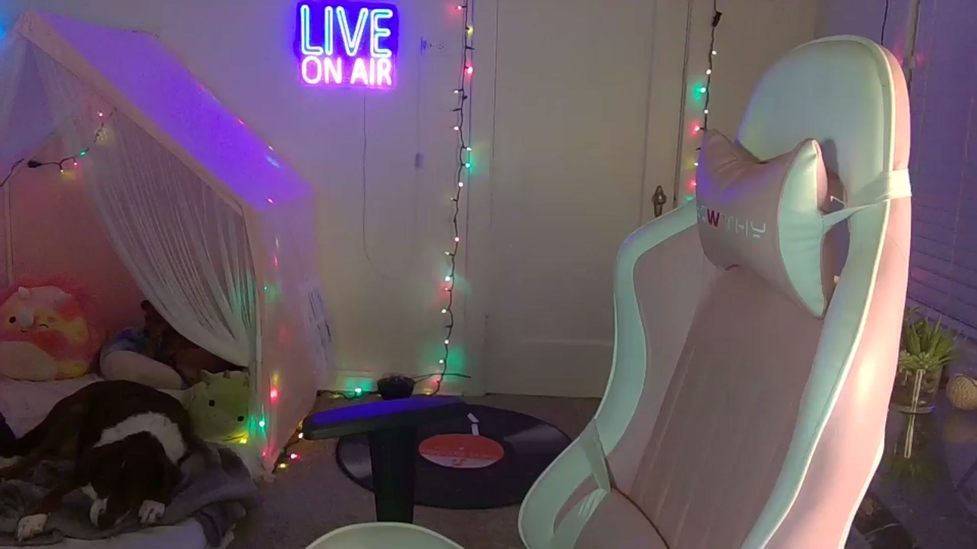 Gallery image thumbnail from NatalieNavedo's myfreecams stream on, 05/13/2024, 07:33 image 19 of 20