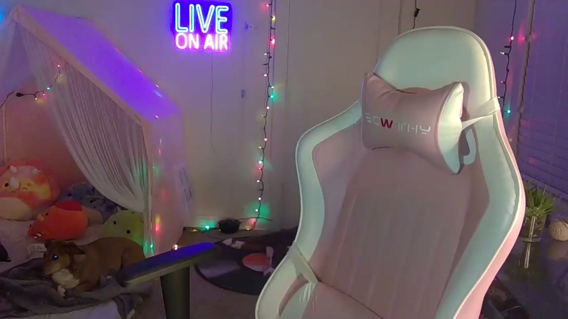 Gallery image thumbnail from NatalieNavedo's myfreecams stream on, 05/13/2024, 10:10 image 8 of 20