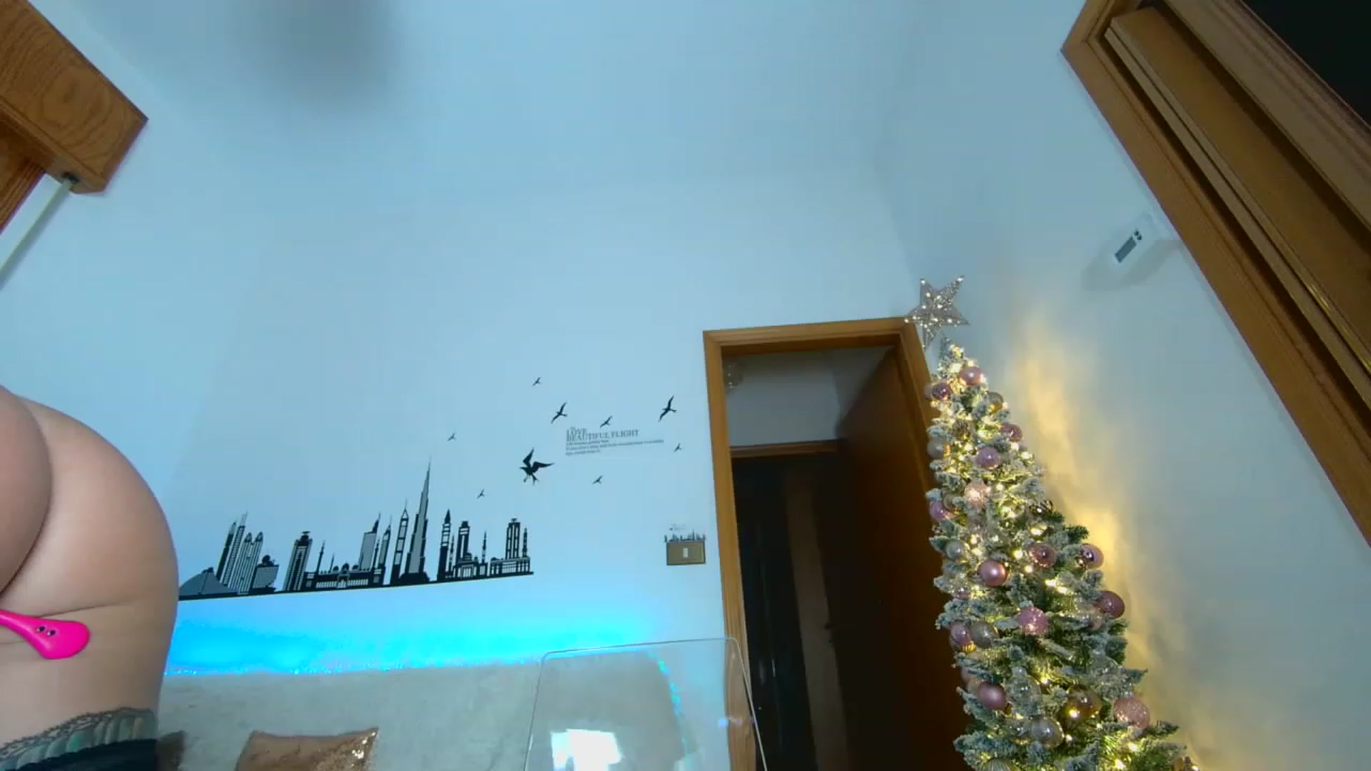 Gallery image thumbnail from Natalieass's myfreecams stream on, 12/25/2022, 19:55 image 19 of 20
