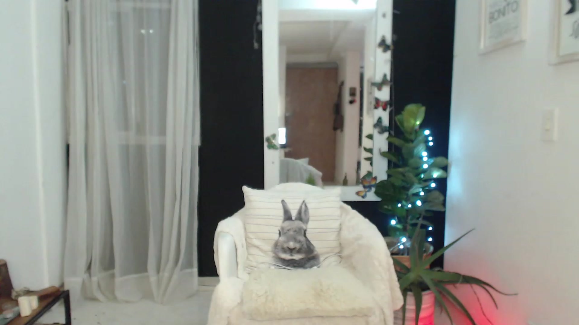 Gallery image thumbnail from Natha_Jones's myfreecams stream on, 11/11/2023, 02:47 image 7 of 20