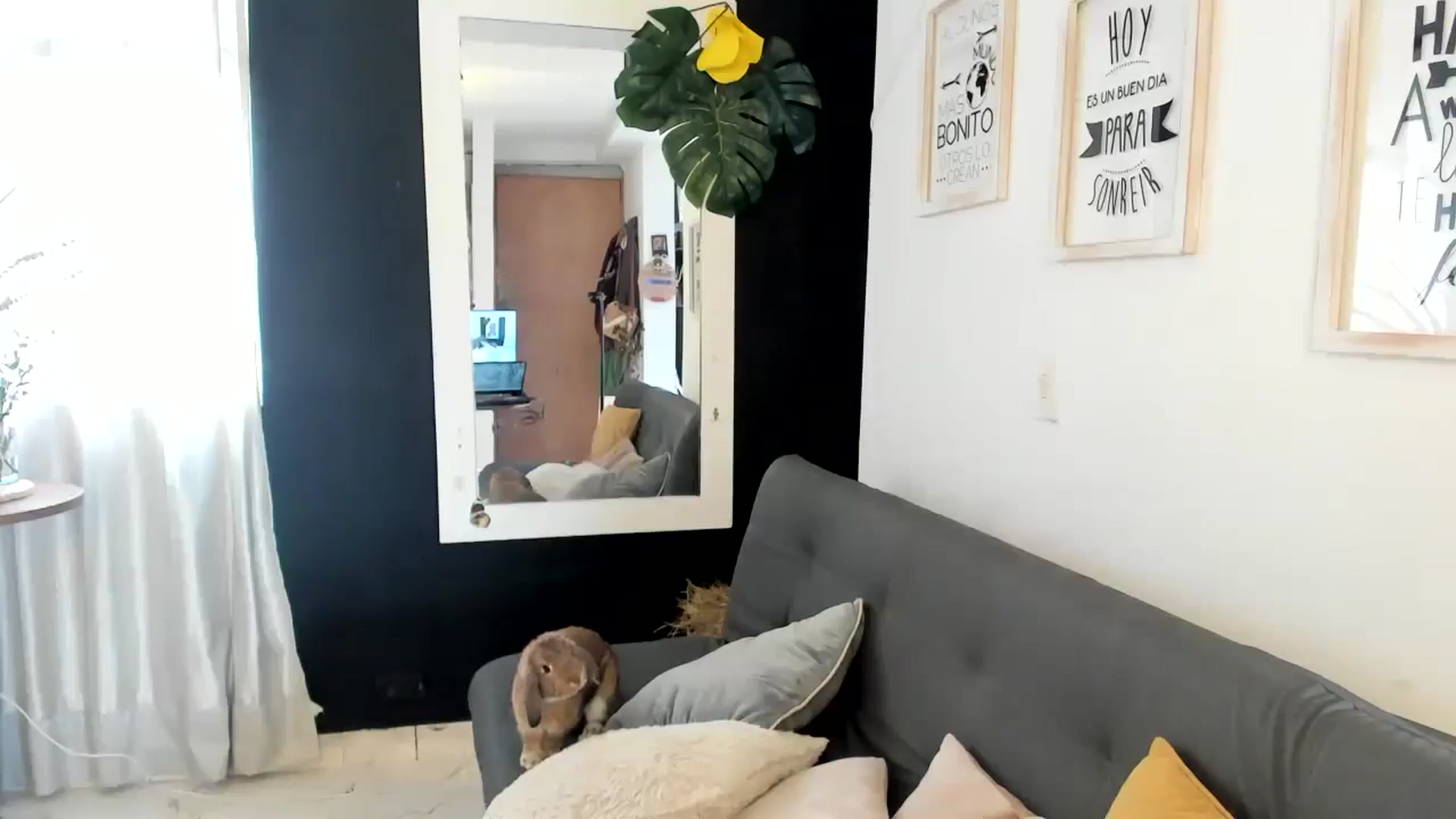 Gallery image thumbnail from Natha_Jones's myfreecams stream on, 05/31/2025, 19:56 image 10 of 20
