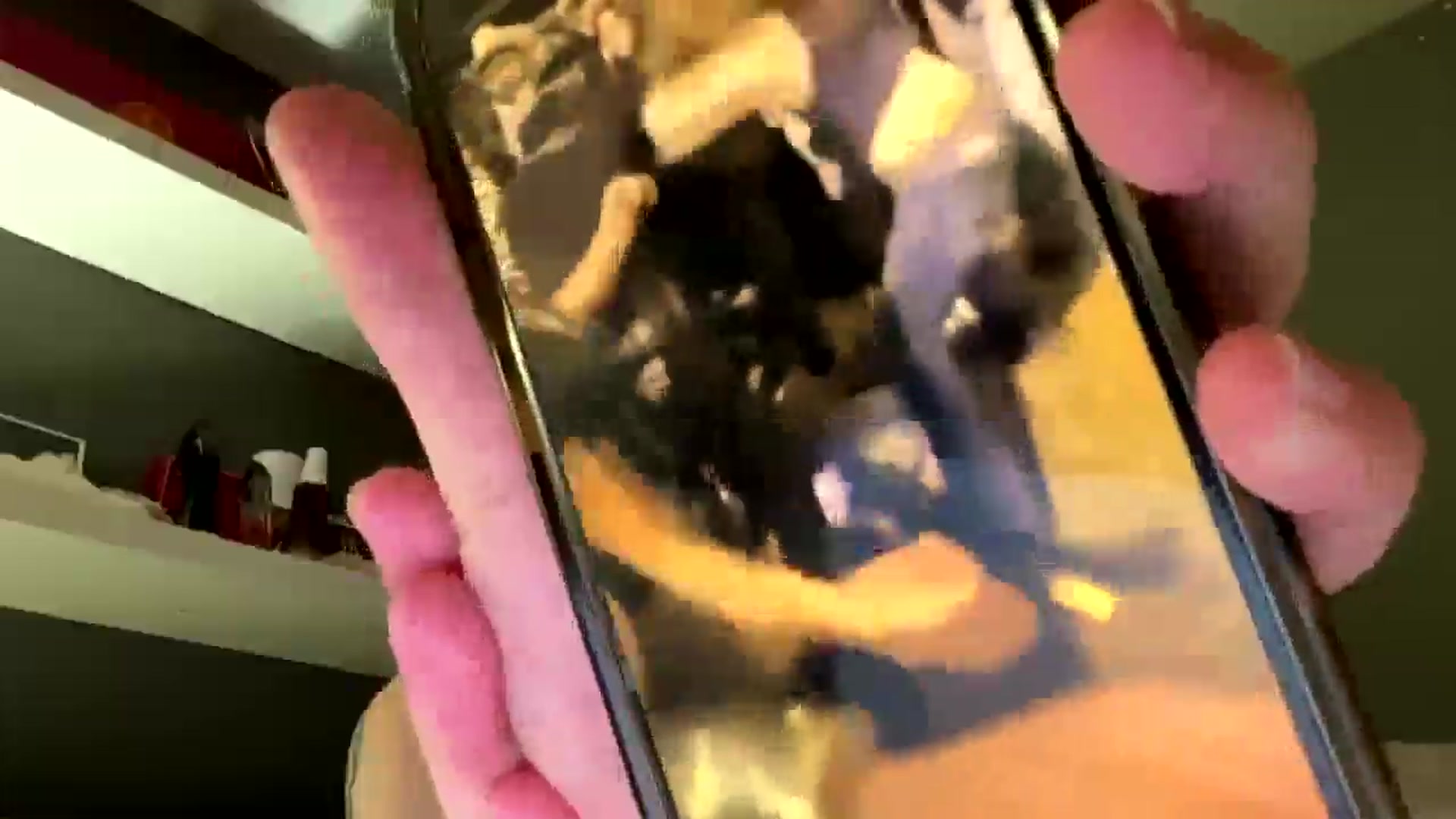 Gallery image thumbnail from Natpeach's myfreecams stream on, 12/29/2025, 11:00 image 10 of 20