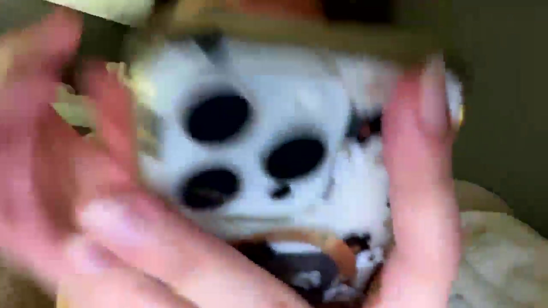 Gallery image thumbnail from Natpeach's myfreecams stream on, 12/29/2025, 11:00 image 16 of 20