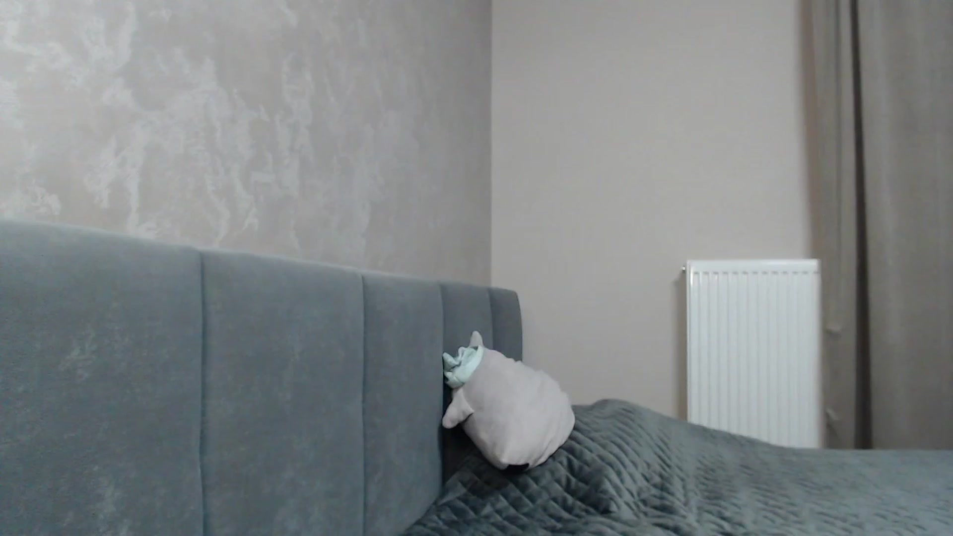 Gallery image thumbnail from NatrlBeauty's myfreecams stream on, 02/22/2023, 15:17 image 14 of 20