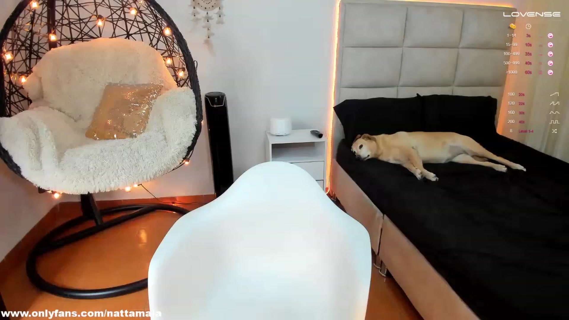 Gallery image thumbnail from Nattamala's myfreecams stream on, 04/02/2023, 17:26 image 4 of 20
