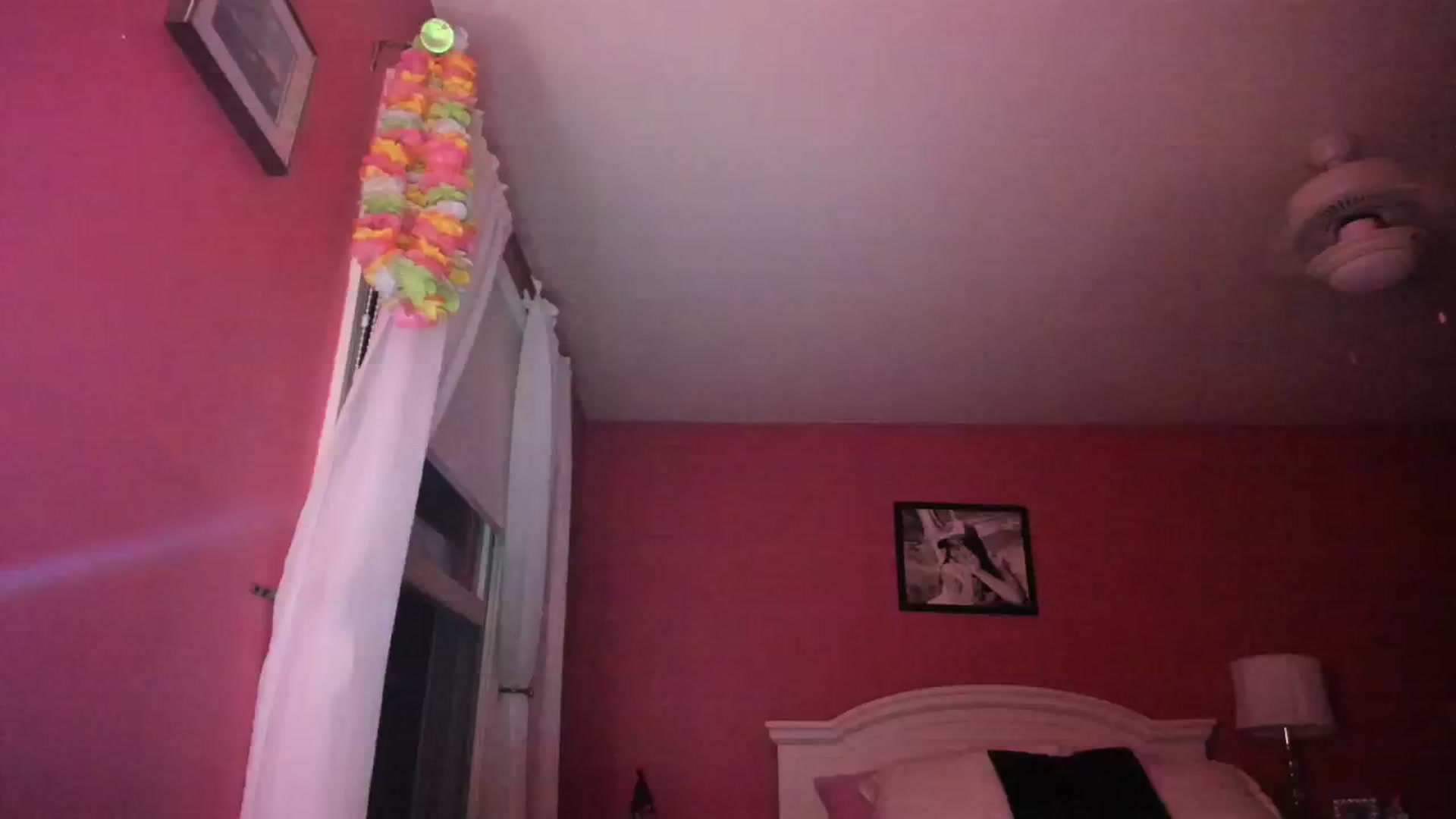 Gallery image thumbnail from NattyAdams's myfreecams stream on, 08/20/2023, 05:39 image 9 of 20