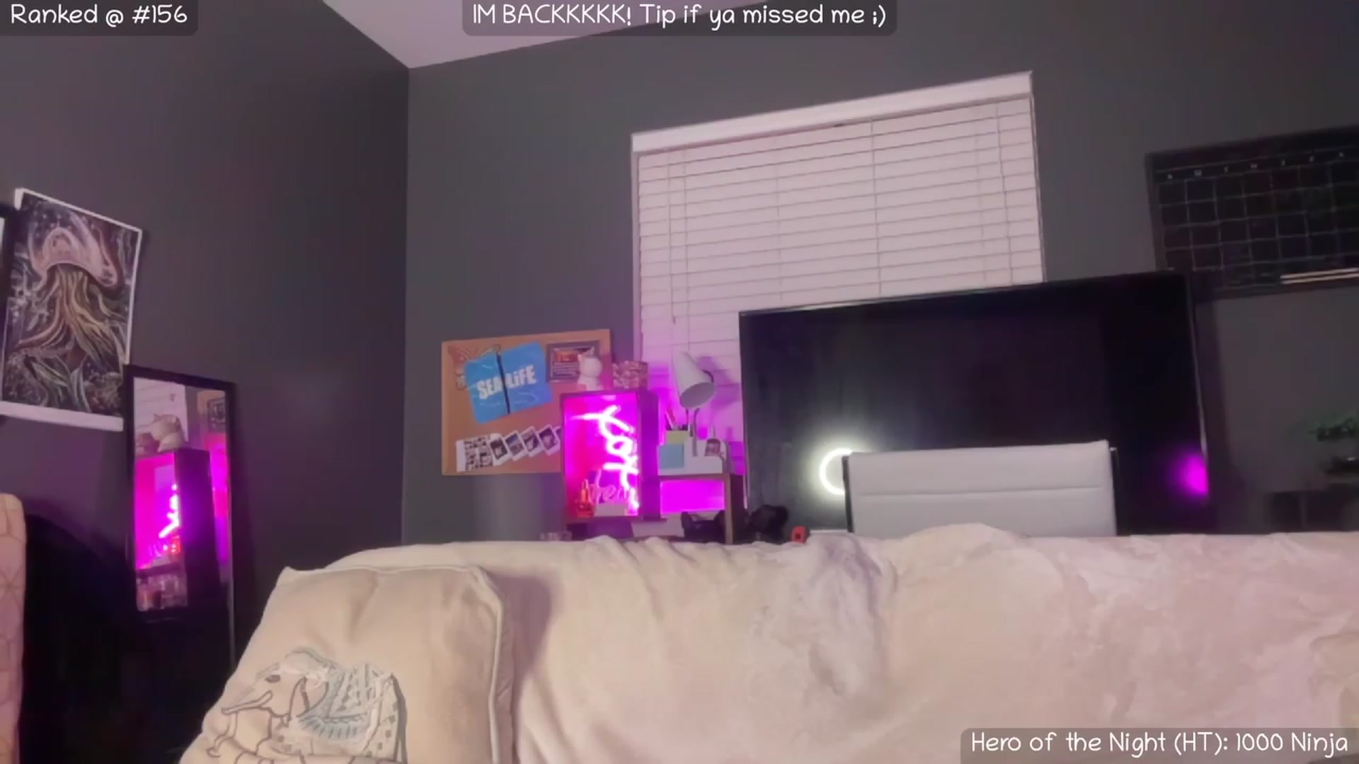 Gallery image thumbnail from NaturallyReal's myfreecams stream on, 06/17/2023, 06:19 image 15 of 20
