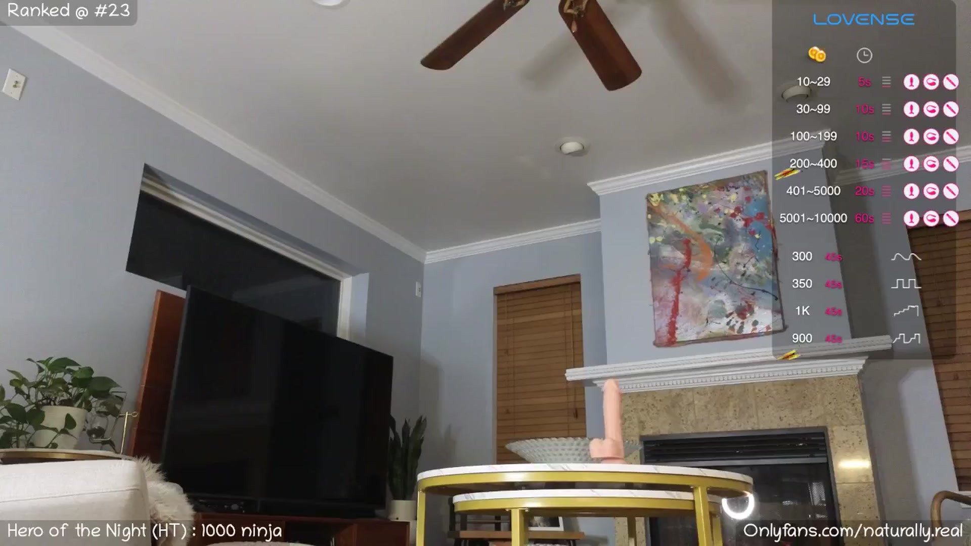 Gallery image thumbnail from NaturallyReal's myfreecams stream on, 04/24/2024, 05:03 image 18 of 20