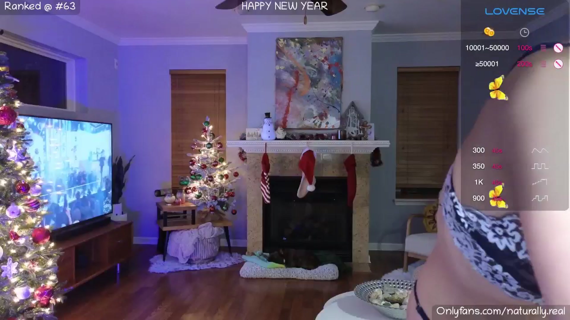 Gallery image thumbnail from NaturallyReal's myfreecams stream on, 01/01/2025, 07:15 image 14 of 20