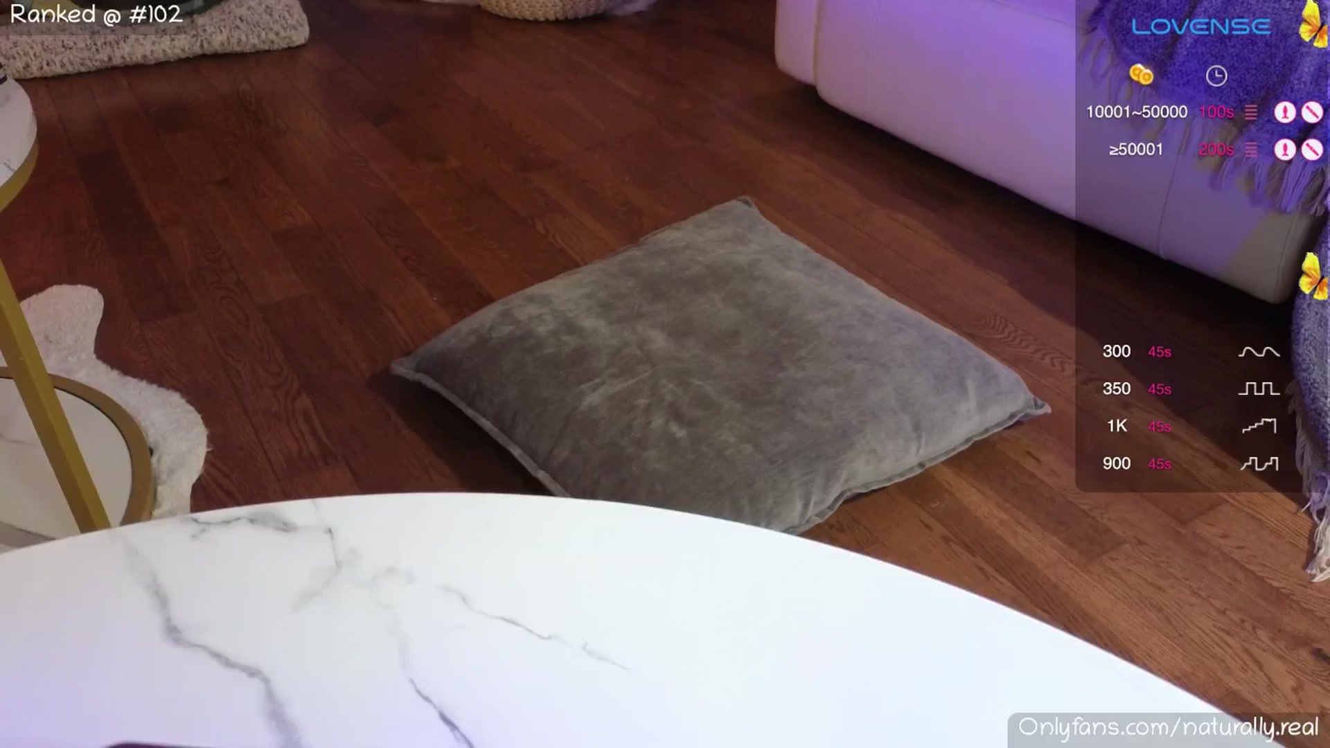 Gallery image thumbnail from NaturallyReal's myfreecams stream on, 01/10/2025, 07:56 image 19 of 20