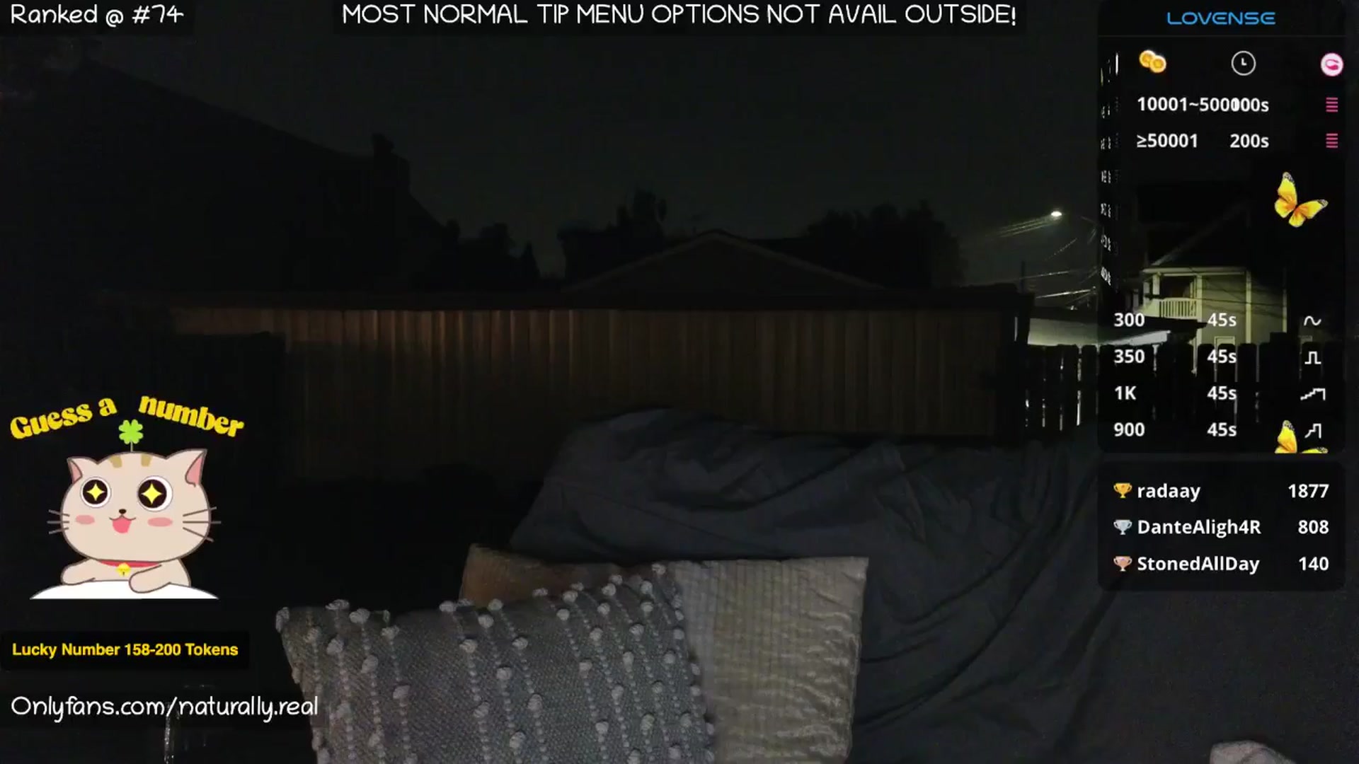 Gallery image thumbnail from NaturallyReal's myfreecams stream on, 06/08/2025, 04:56 image 12 of 20