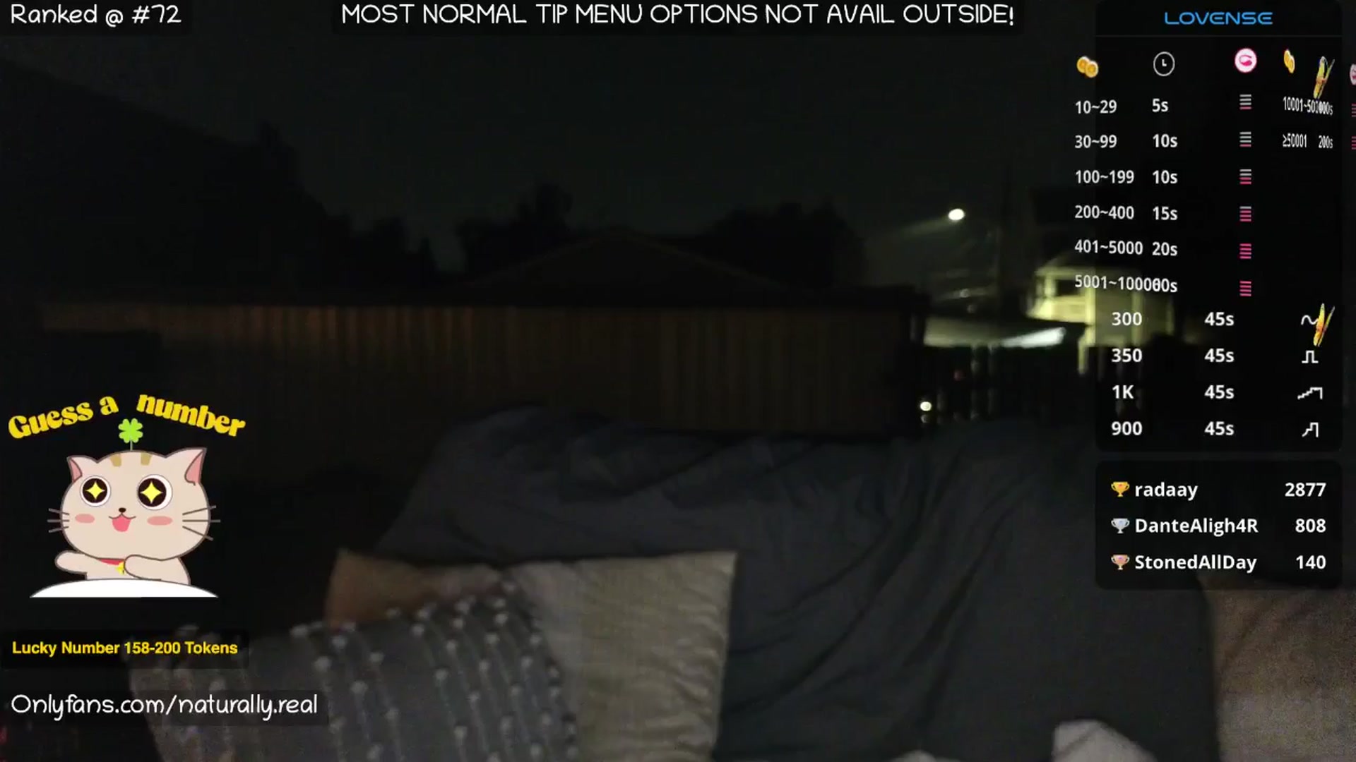 Gallery image thumbnail from NaturallyReal's myfreecams stream on, 06/08/2025, 04:56 image 13 of 20