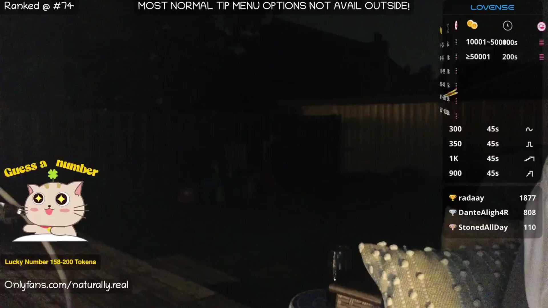 Gallery image thumbnail from NaturallyReal's myfreecams stream on, 06/08/2025, 04:56 image 11 of 20