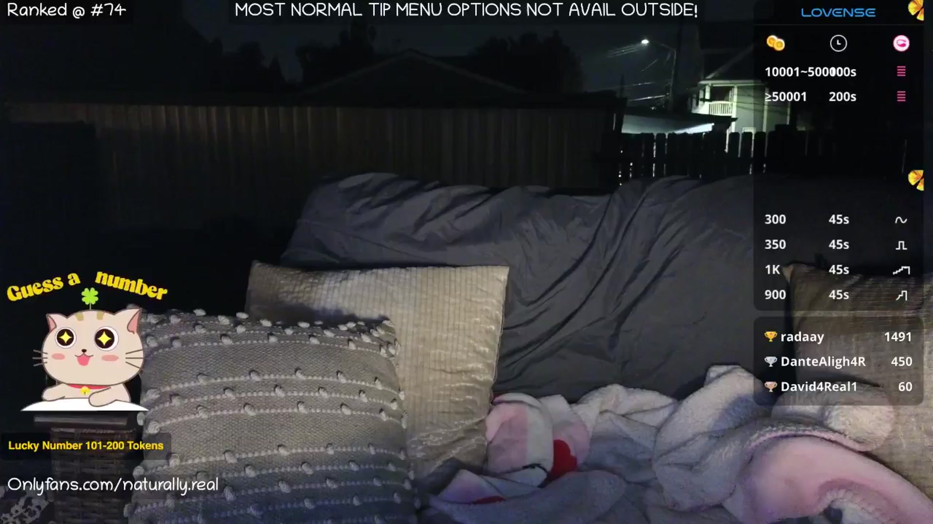 Gallery image thumbnail from NaturallyReal's myfreecams stream on, 06/08/2025, 04:56 image 8 of 20