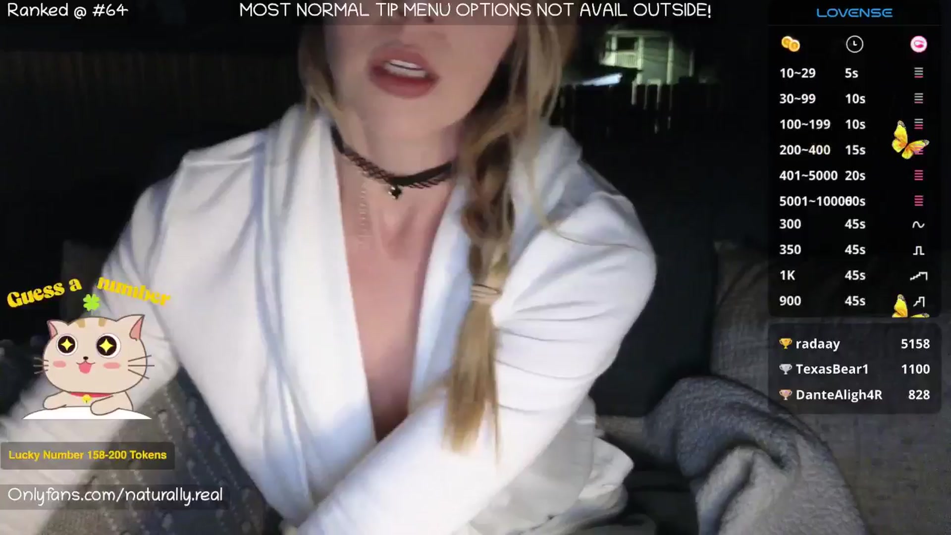 Gallery image thumbnail from NaturallyReal's myfreecams stream on, 06/08/2025, 04:56 image 20 of 20