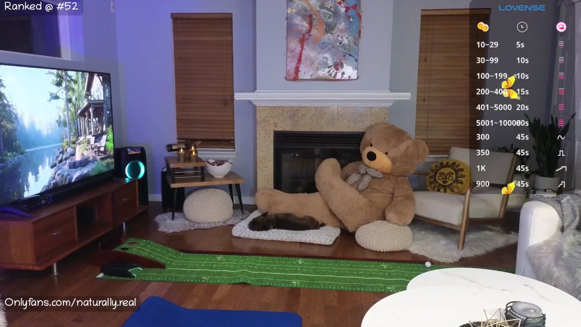 Gallery image thumbnail from NaturallyReal's myfreecams stream on, 07/01/2025, 04:57 image 8 of 20