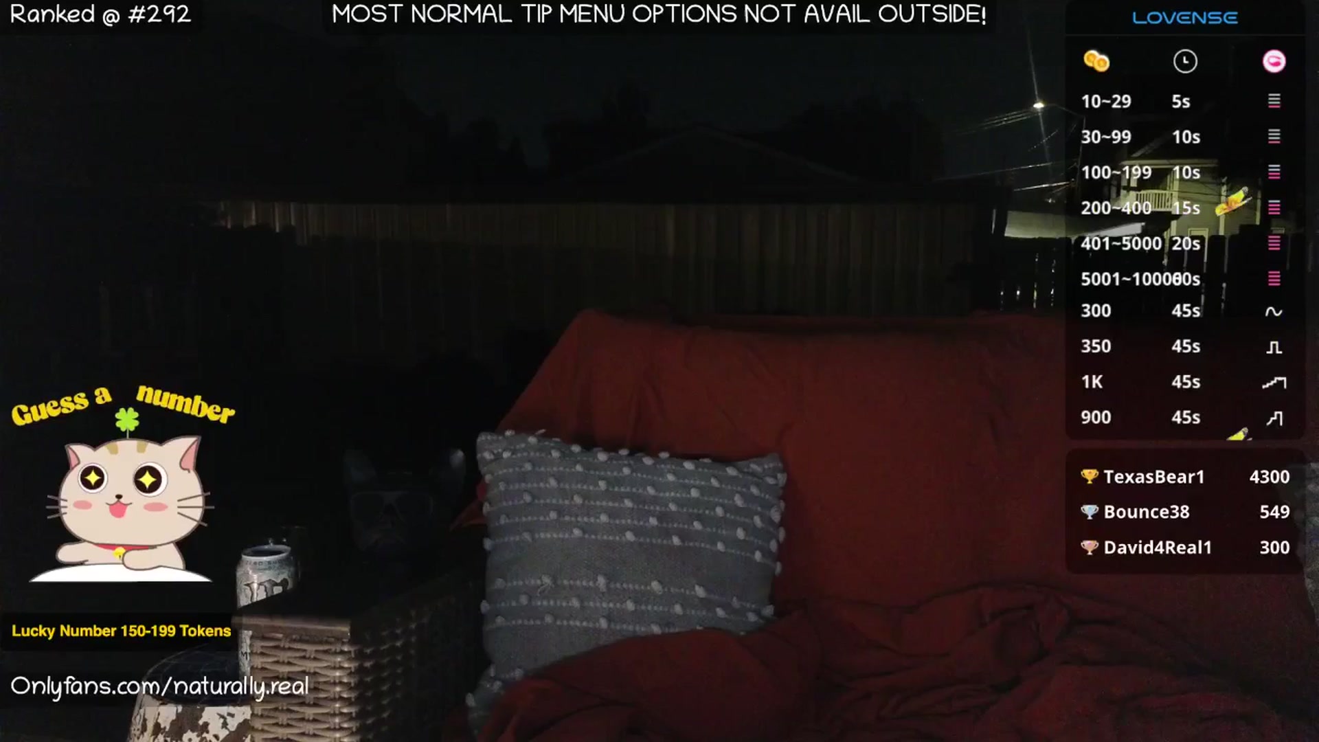 Gallery image thumbnail from NaturallyReal's myfreecams stream on, 07/02/2025, 06:22 image 9 of 20
