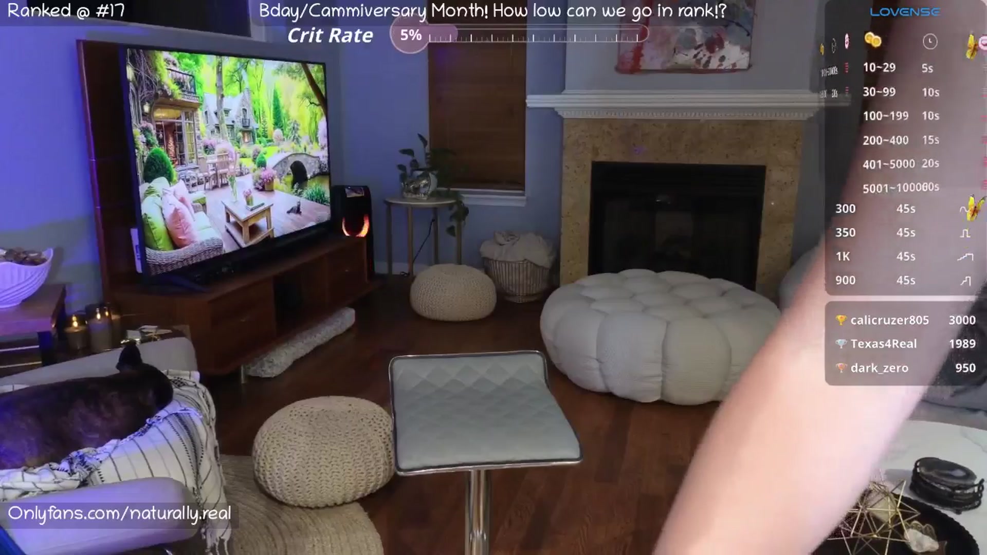 Gallery image thumbnail from NaturallyReal's myfreecams stream on, 07/18/2025, 08:09 image 16 of 20