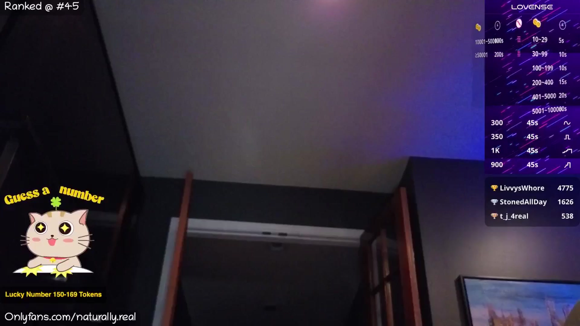 Gallery image thumbnail from NaturallyReal's myfreecams stream on, 09/13/2025, 08:57 image 17 of 20