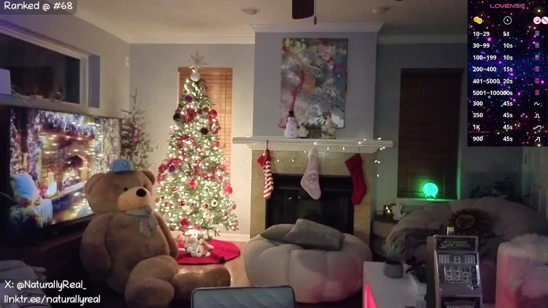 Gallery image thumbnail from NaturallyReal's myfreecams stream on, 11/29/2025, 04:59 image 20 of 20