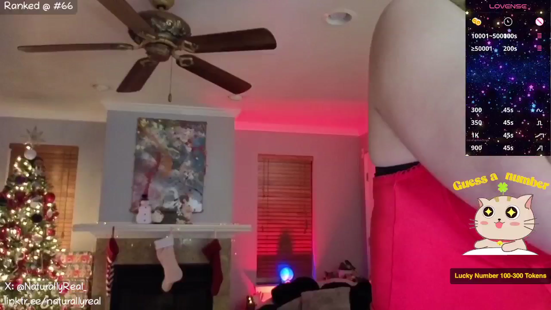 Gallery image thumbnail from NaturallyReal's myfreecams stream on, 12/24/2025, 06:38 image 17 of 20