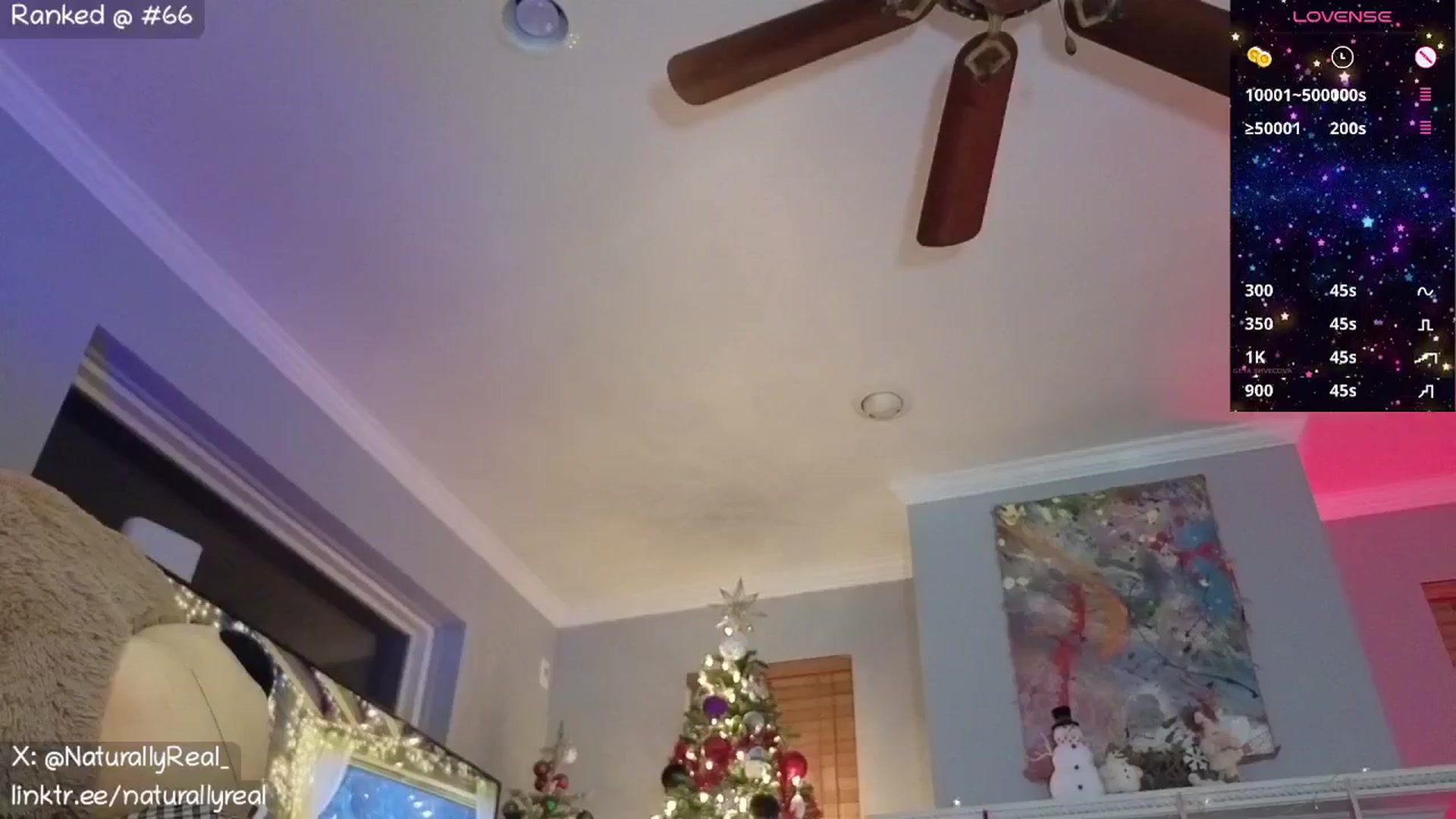 Gallery image thumbnail from NaturallyReal's myfreecams stream on, 12/24/2025, 07:56 image 10 of 20