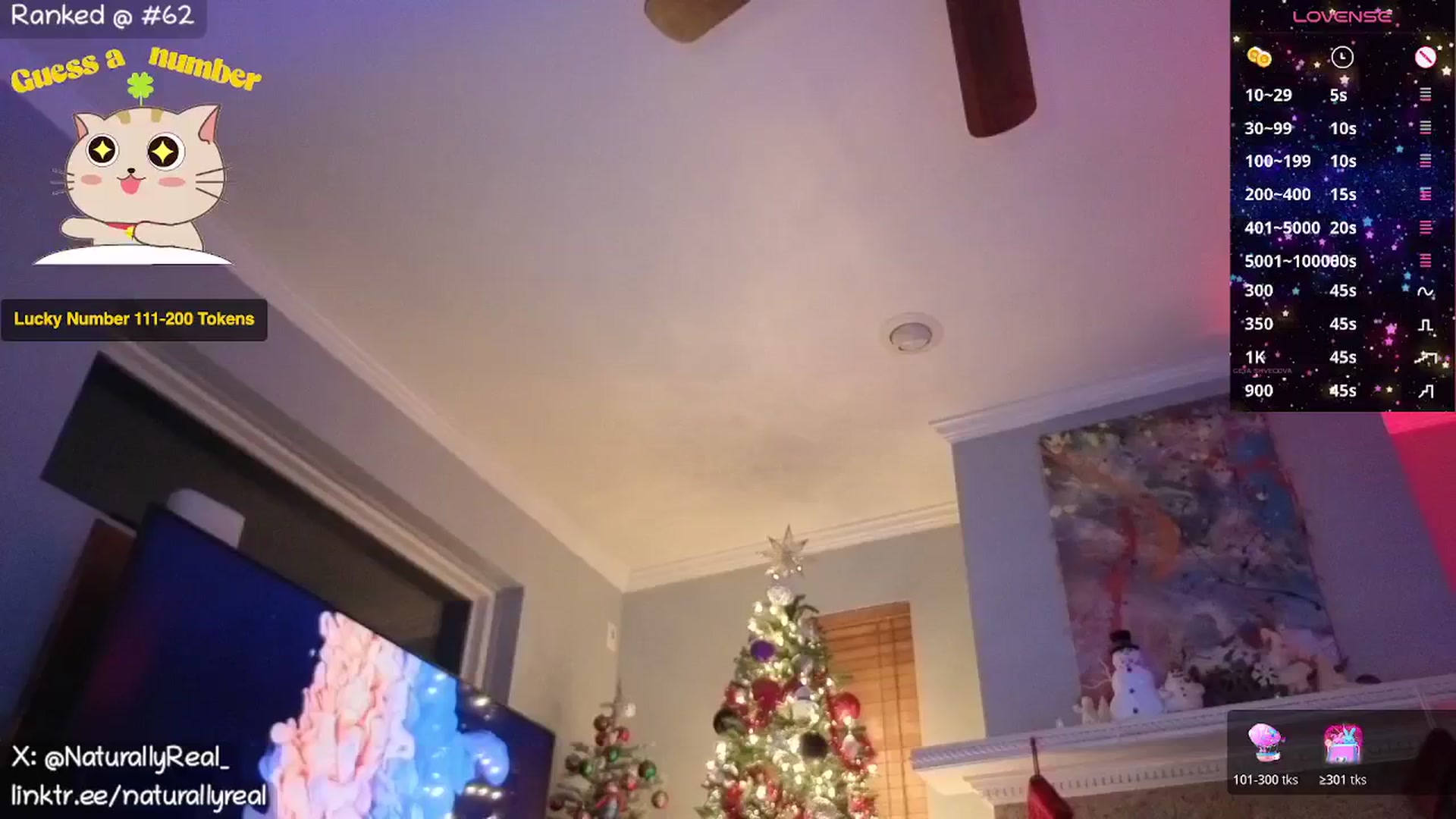 Gallery image thumbnail from NaturallyReal's myfreecams stream on, 12/30/2025, 05:59 image 13 of 20