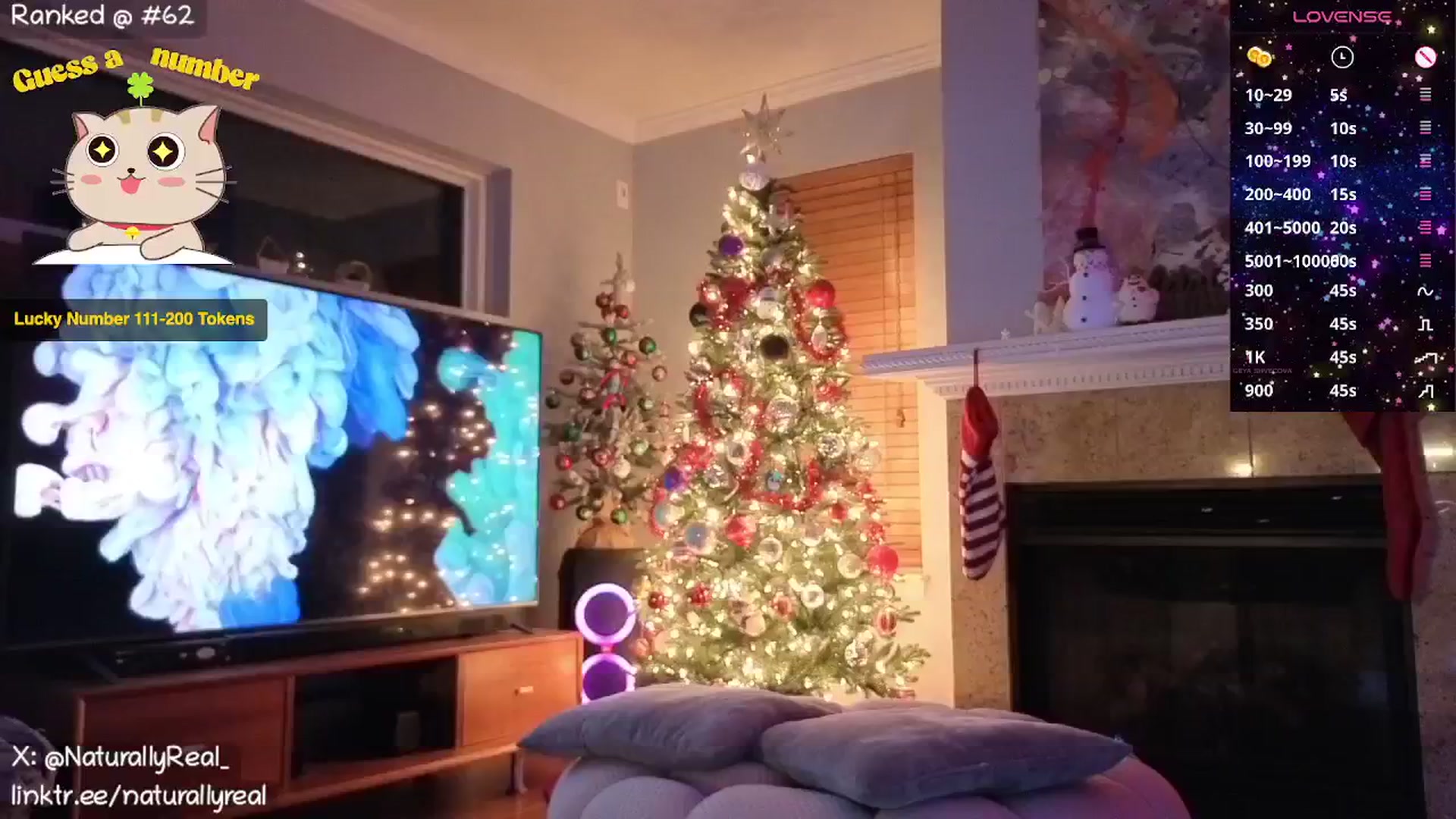Gallery image thumbnail from NaturallyReal's myfreecams stream on, 12/30/2025, 05:59 image 16 of 20