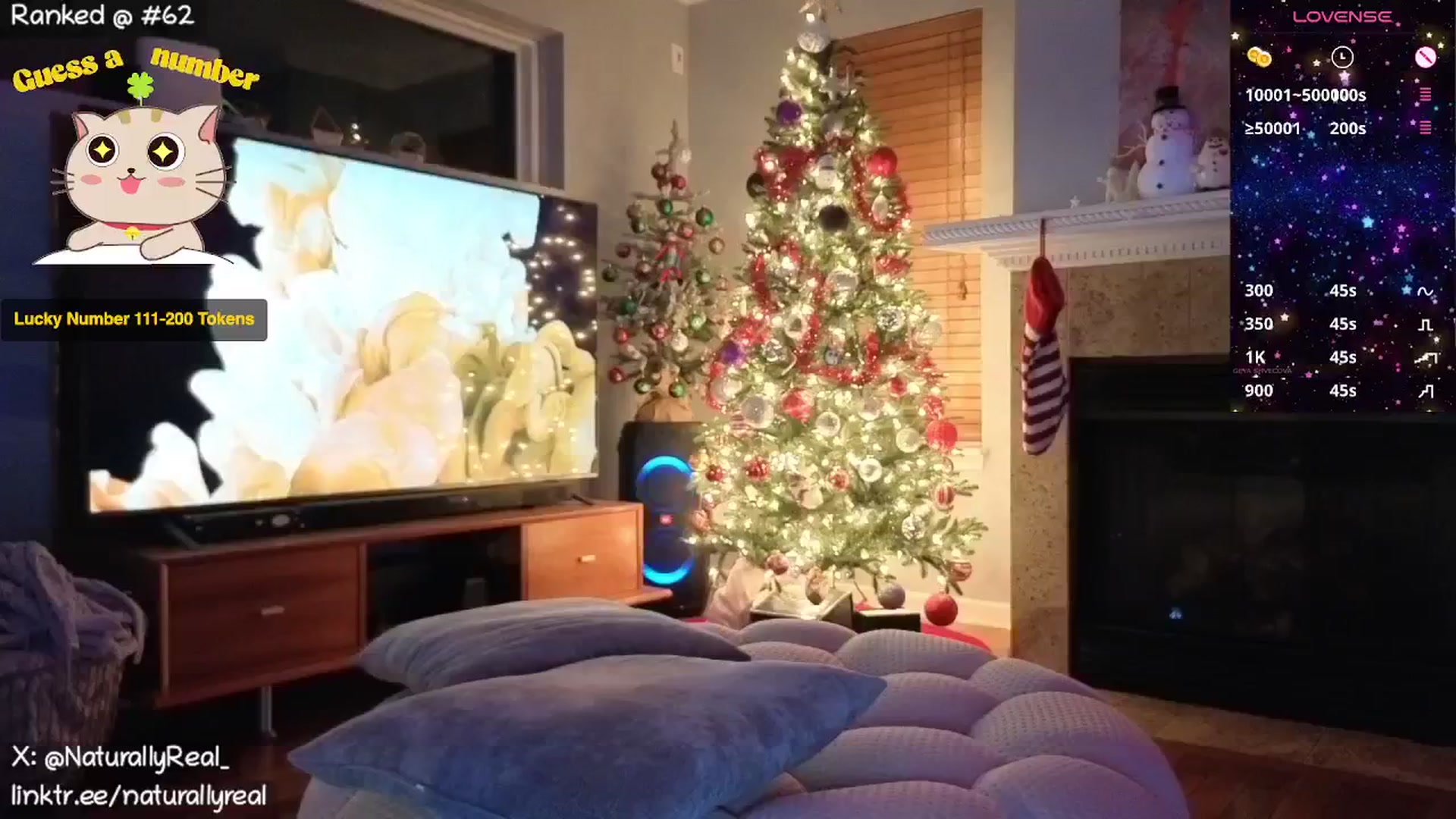 Gallery image thumbnail from NaturallyReal's myfreecams stream on, 12/30/2025, 05:59 image 14 of 20