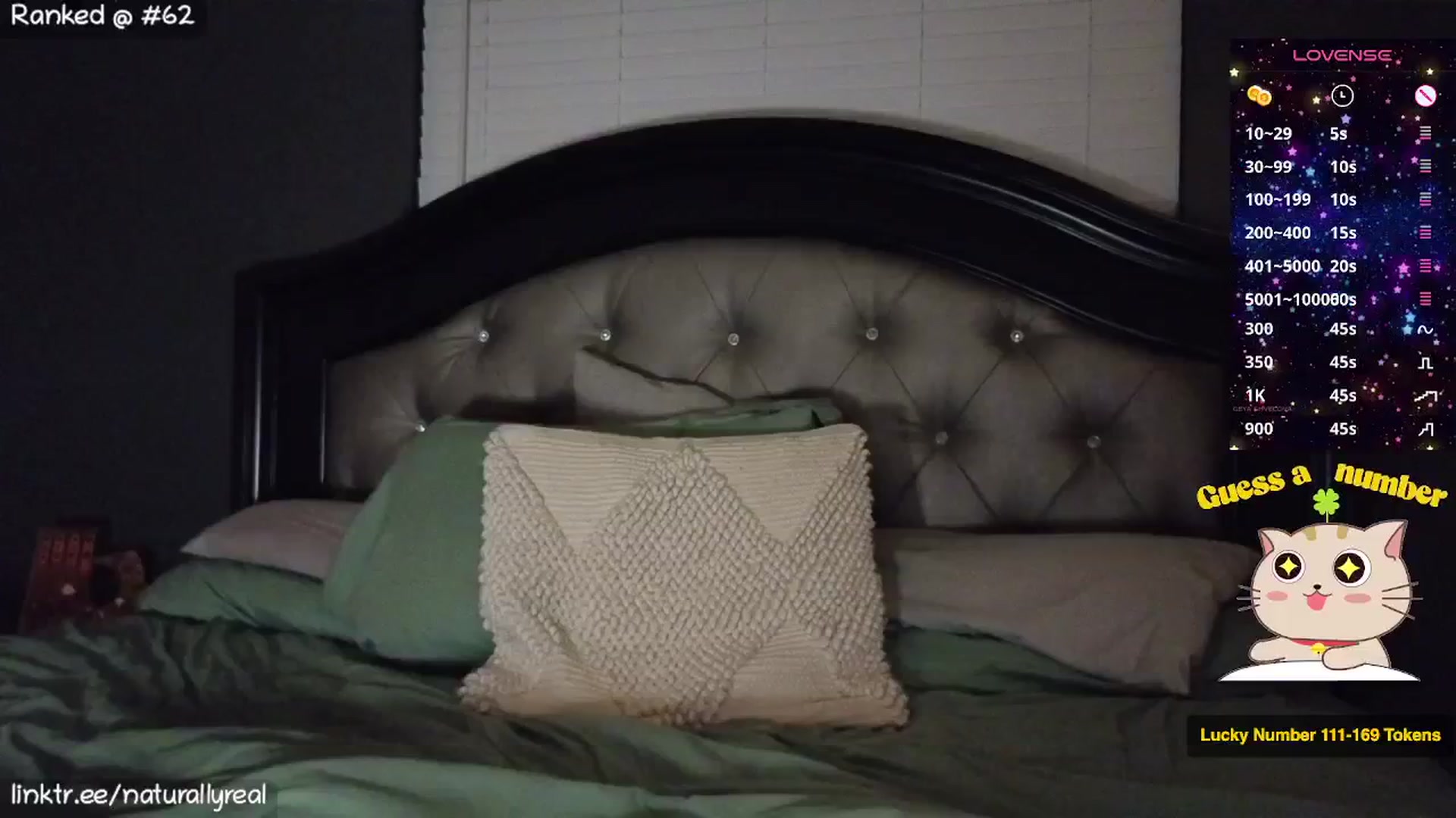 Gallery image thumbnail from NaturallyReal's myfreecams stream on, 01/18/2026, 09:14 image 12 of 20