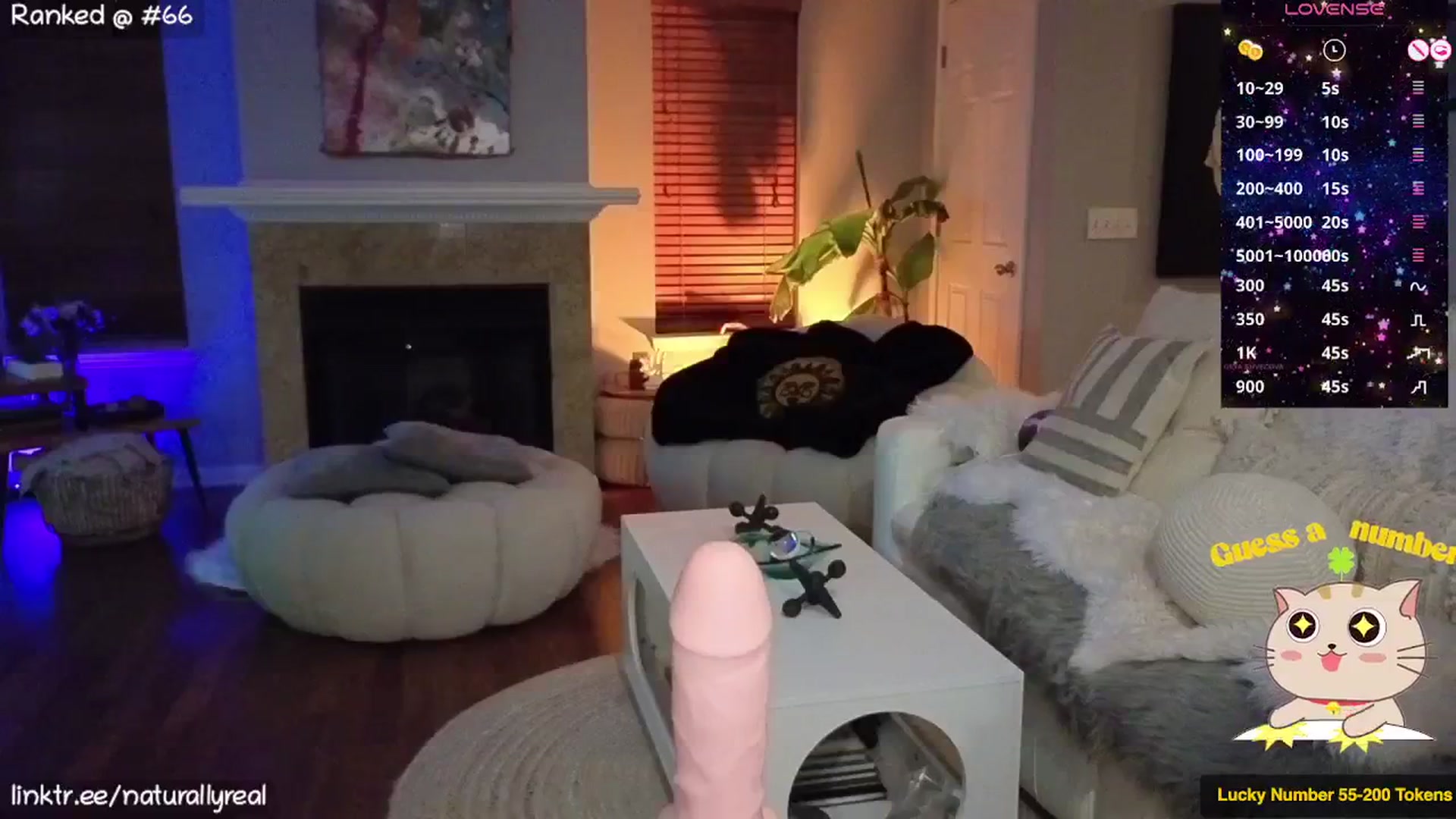 Gallery image thumbnail from NaturallyReal's myfreecams stream on, 02/25/2026, 05:02 image 15 of 20