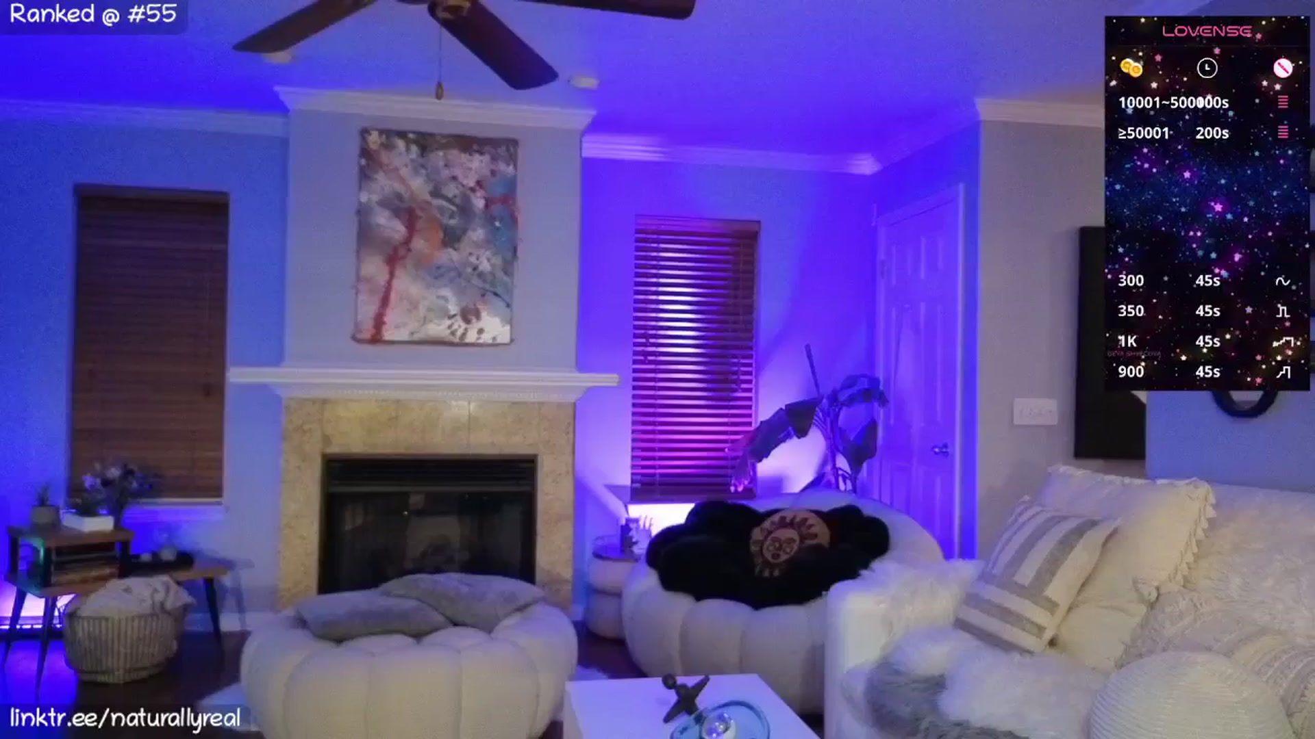 Gallery image thumbnail from NaturallyReal's myfreecams stream on, 03/13/2026, 04:50 image 4 of 20