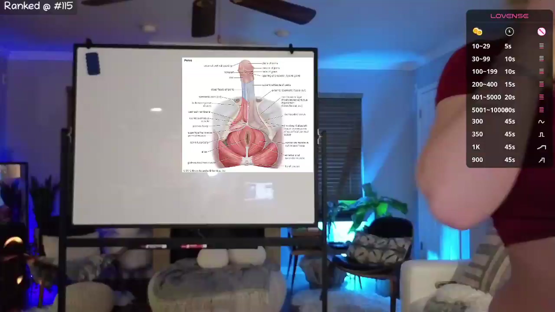 Gallery image thumbnail from NaturallyReal's myfreecams stream on, 07/03/2026, 07:33 image 4 of 20