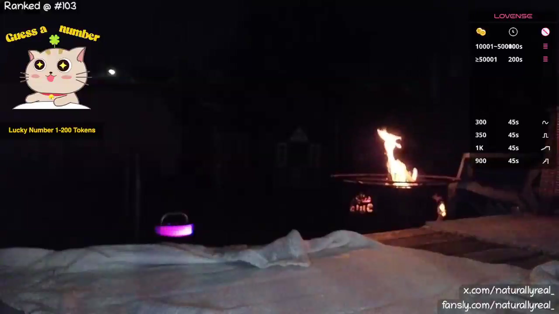 Gallery image thumbnail from NaturallyReal's myfreecams stream on, 08/26/2026, 03:44 image 16 of 20
