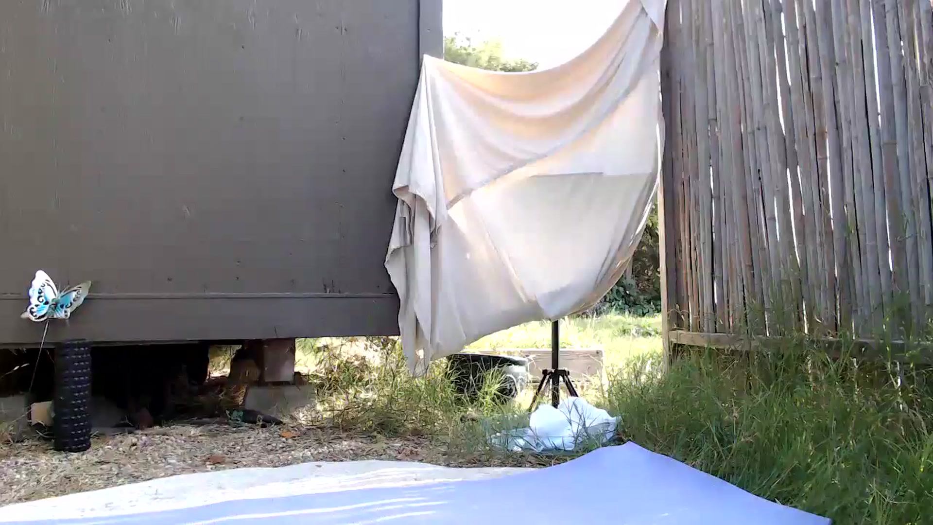 Gallery image thumbnail from NaturegirlKat's myfreecams stream on, 08/18/2025, 01:05 image 6 of 20