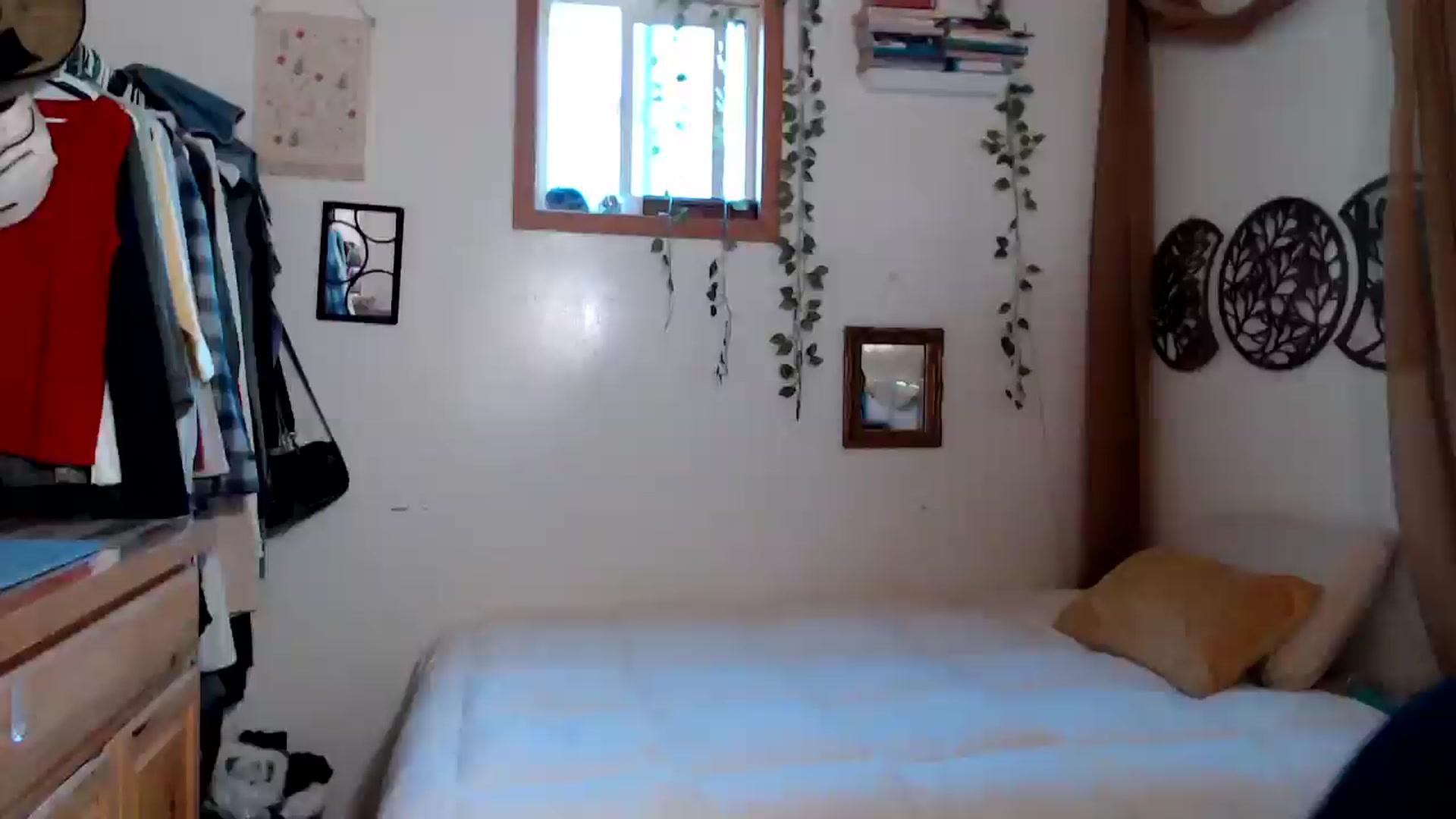 Gallery image thumbnail from NaturegirlKat's myfreecams stream on, 08/26/2025, 02:44 image 1 of 20