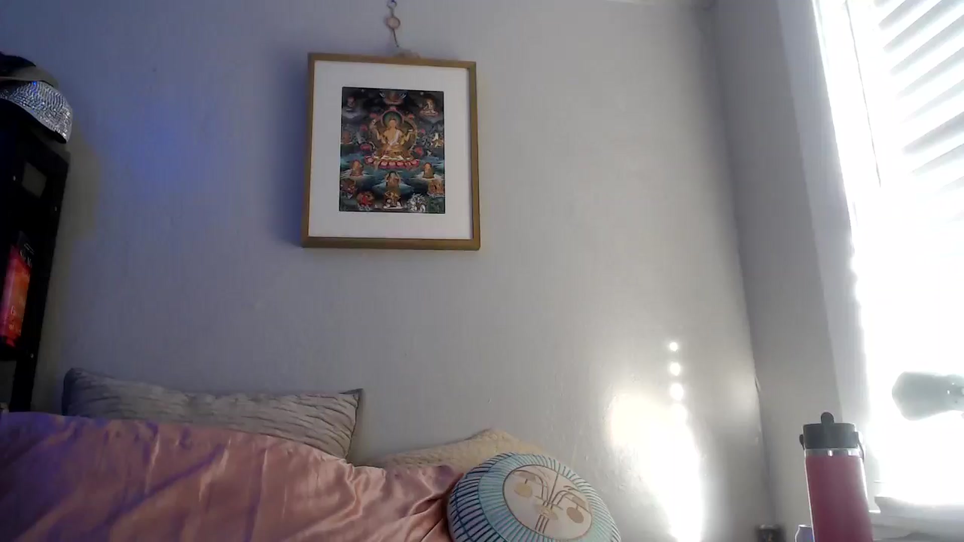 Gallery image thumbnail from NaturegirlKat's myfreecams stream on, 10/17/2025, 01:08 image 11 of 20