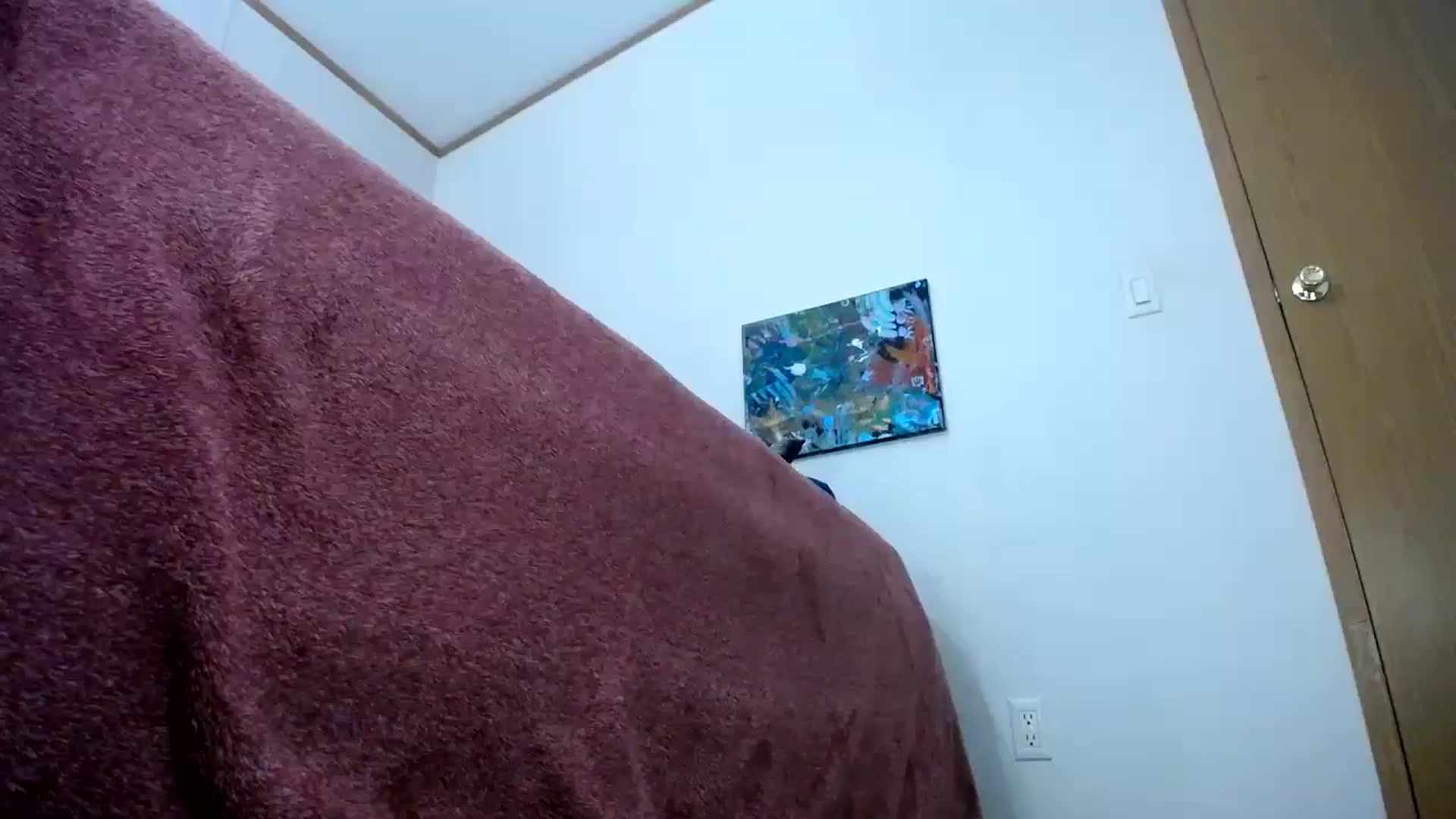Gallery image thumbnail from NaughtyFox89's myfreecams stream on, 07/31/2025, 15:59 image 15 of 20