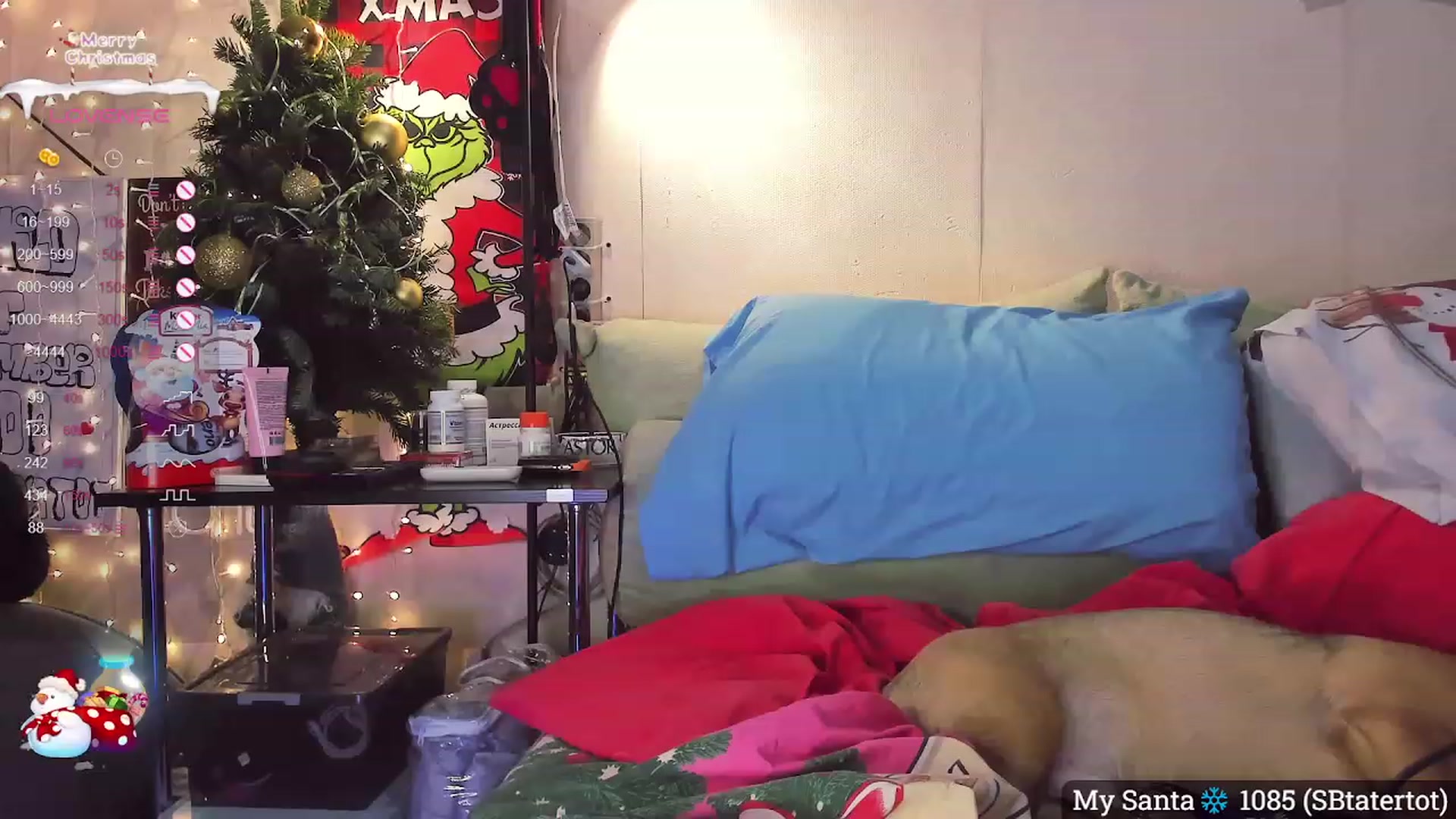 Gallery image thumbnail from NaughtyKitten's myfreecams stream on, 12/24/2023, 15:16 image 16 of 20